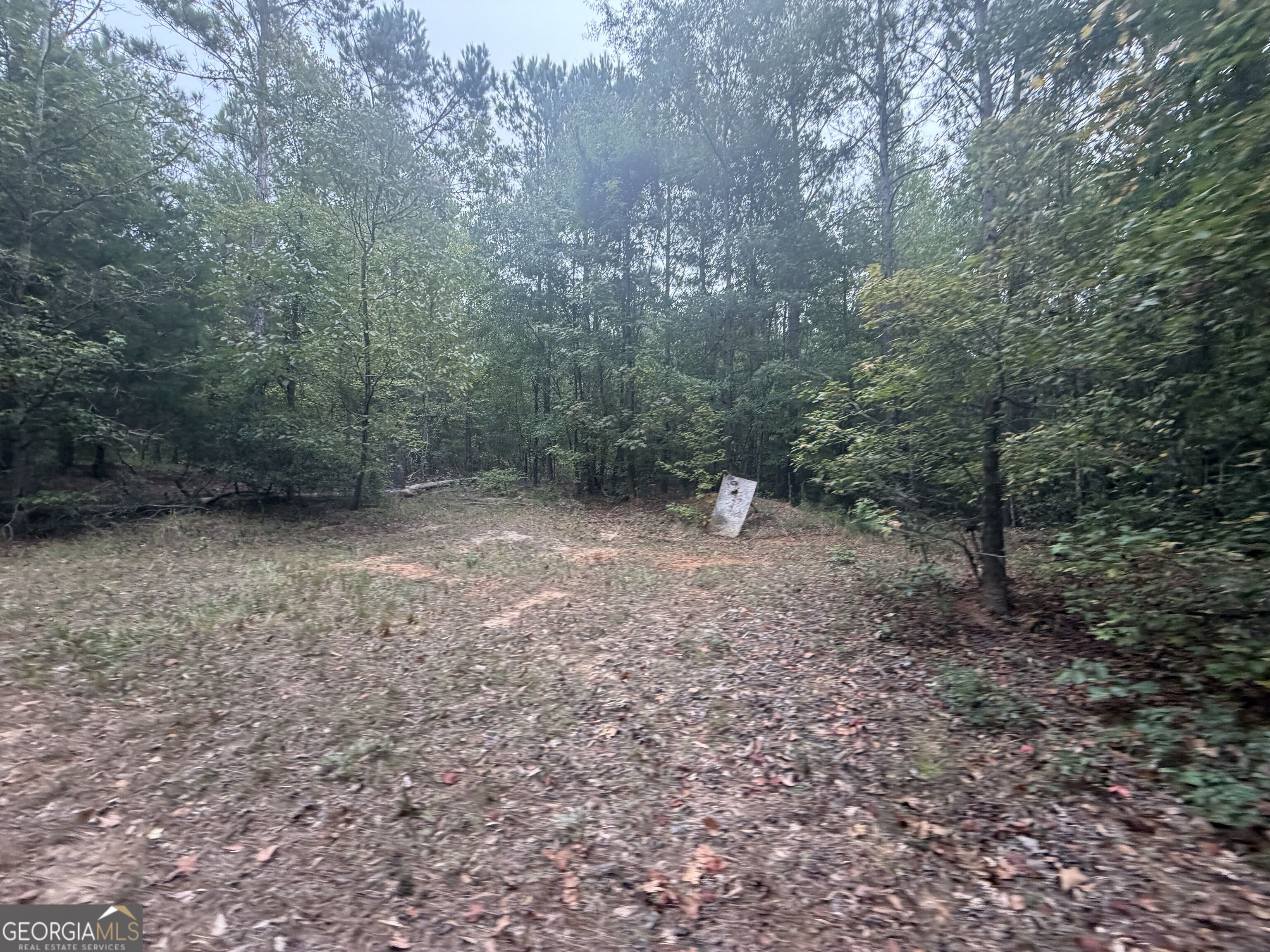 2643 Deepstep Creek Road Property Photo 59