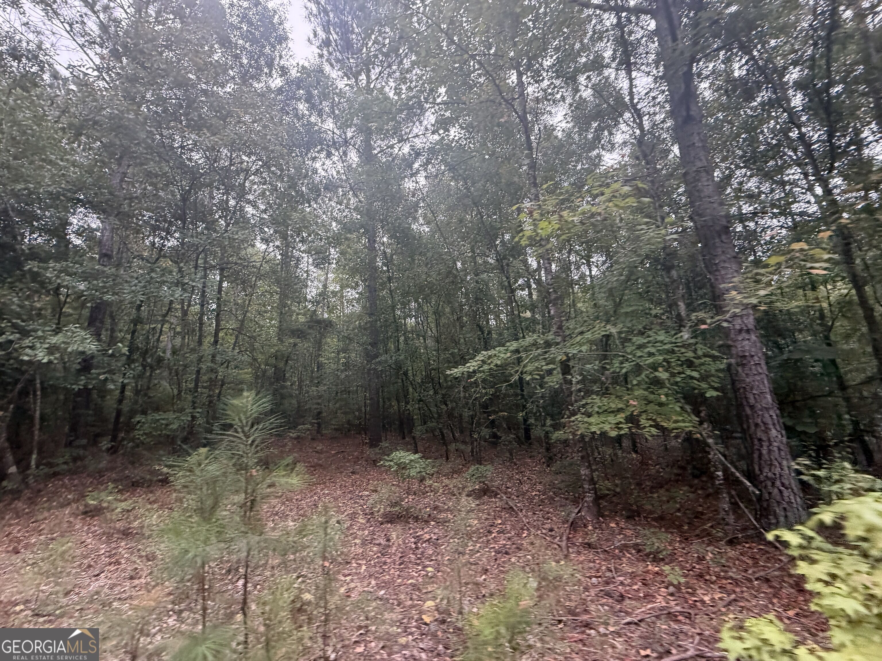 2643 Deepstep Creek Road Property Photo 61