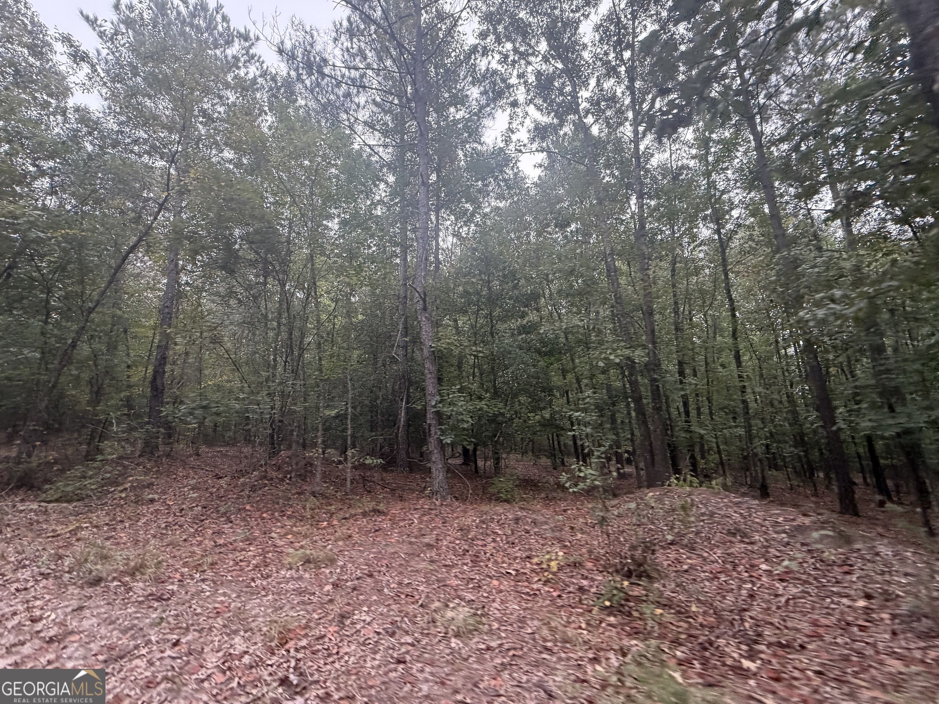 2643 Deepstep Creek Road Property Photo 62
