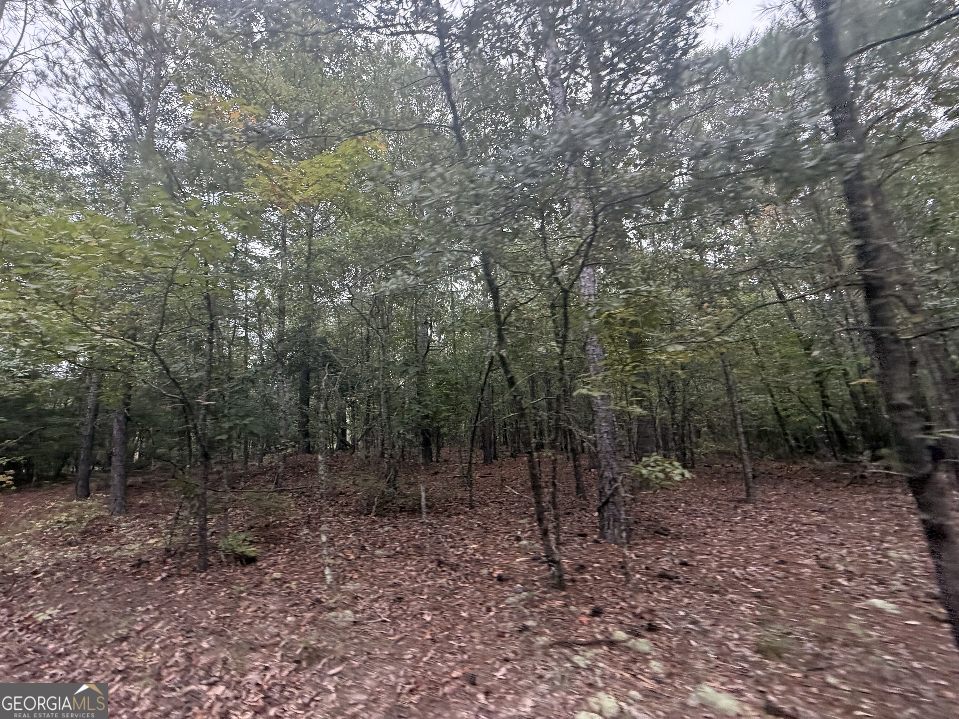2643 Deepstep Creek Road Property Photo 63