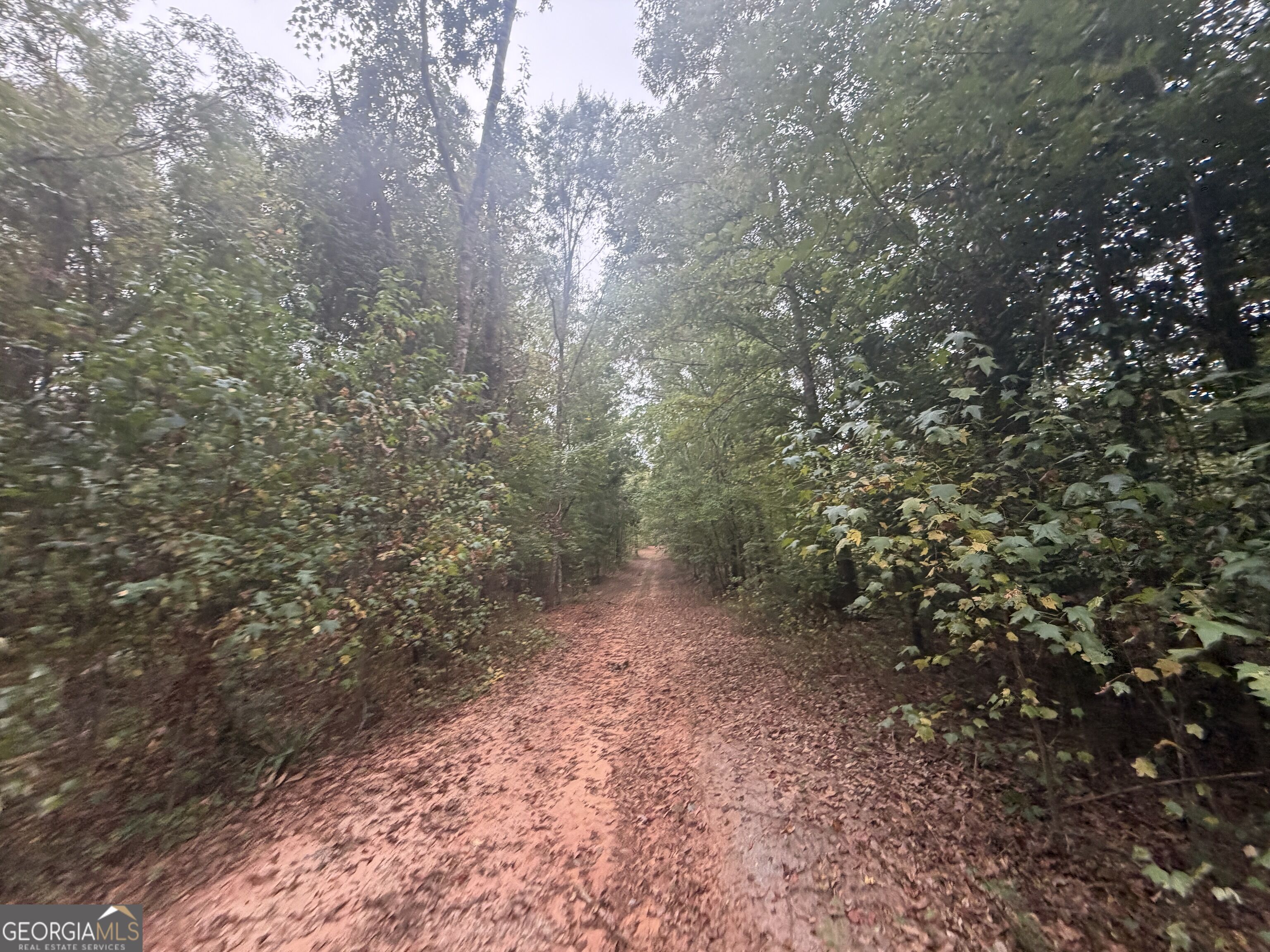 2643 Deepstep Creek Road Property Photo 65