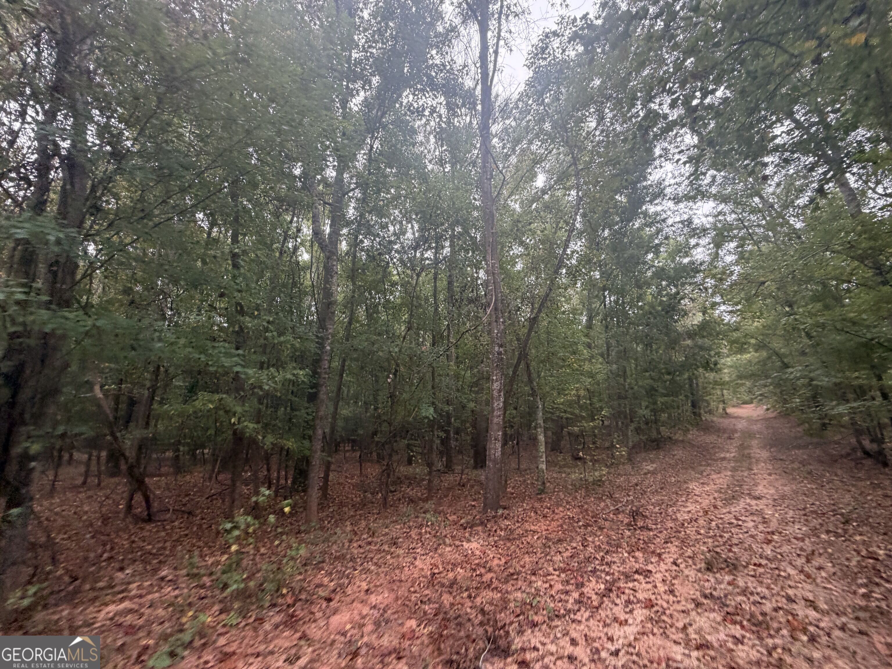 2643 Deepstep Creek Road Property Photo 66