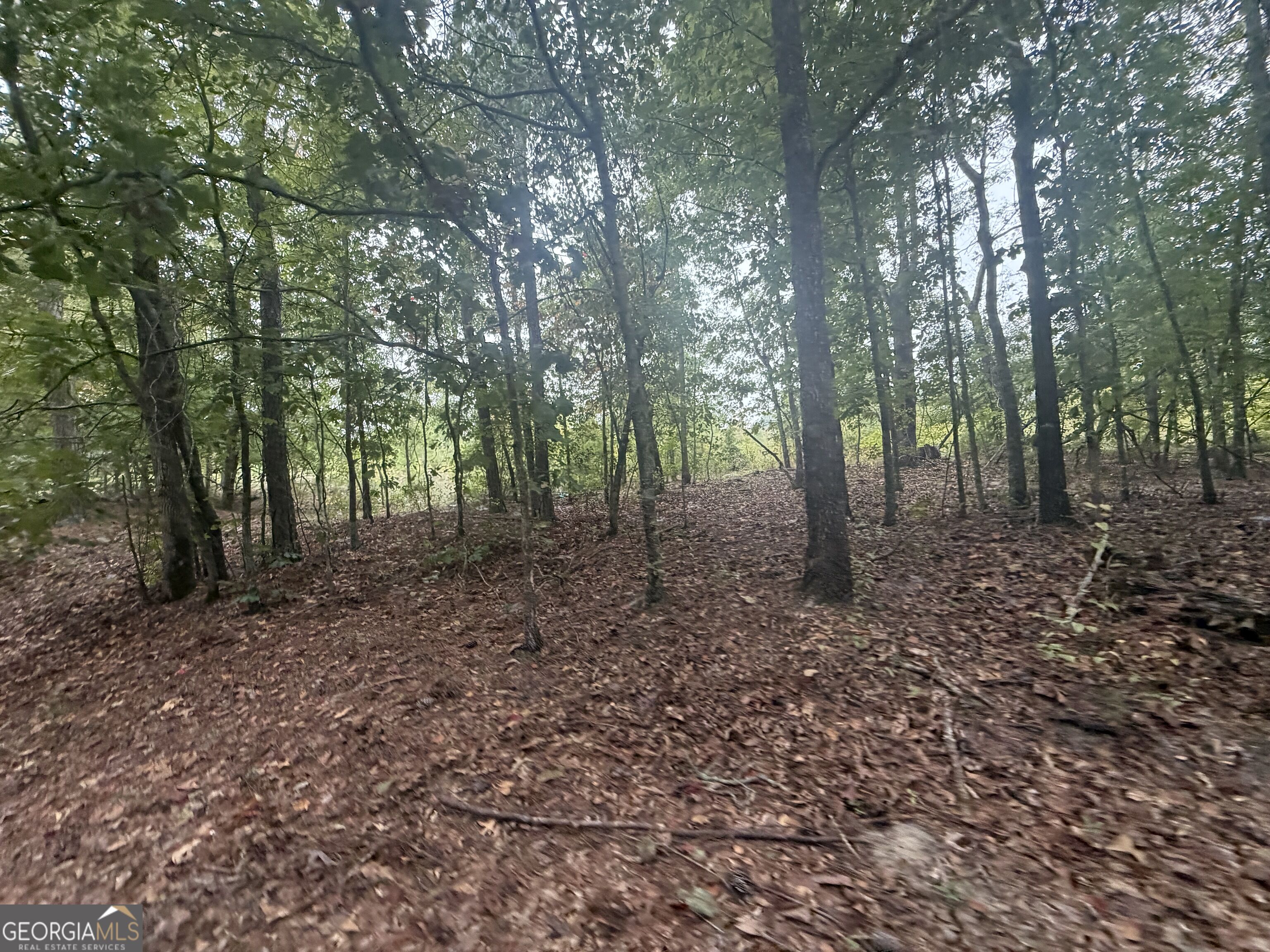 2643 Deepstep Creek Road Property Photo 67