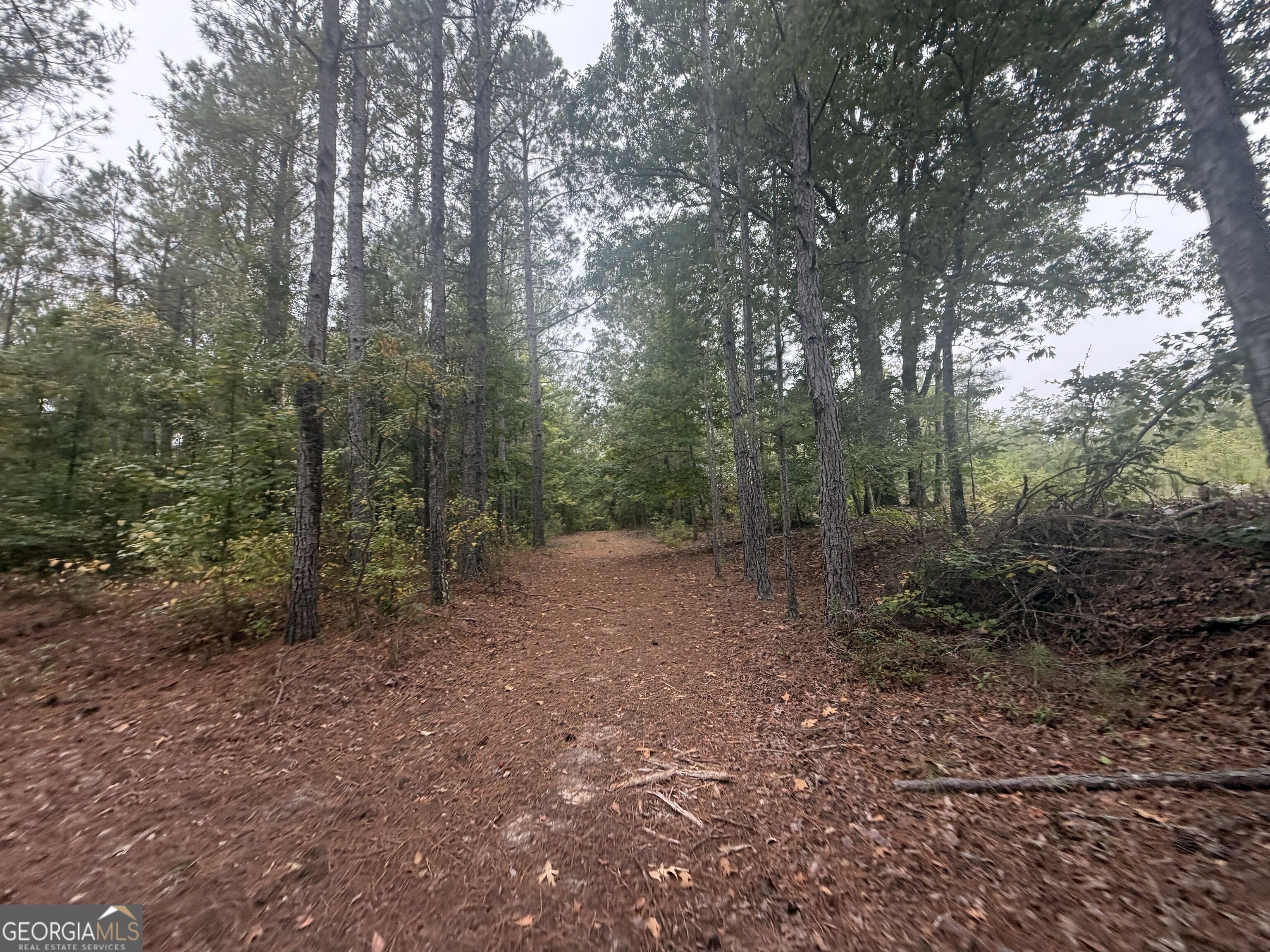 2643 Deepstep Creek Road Property Photo 68
