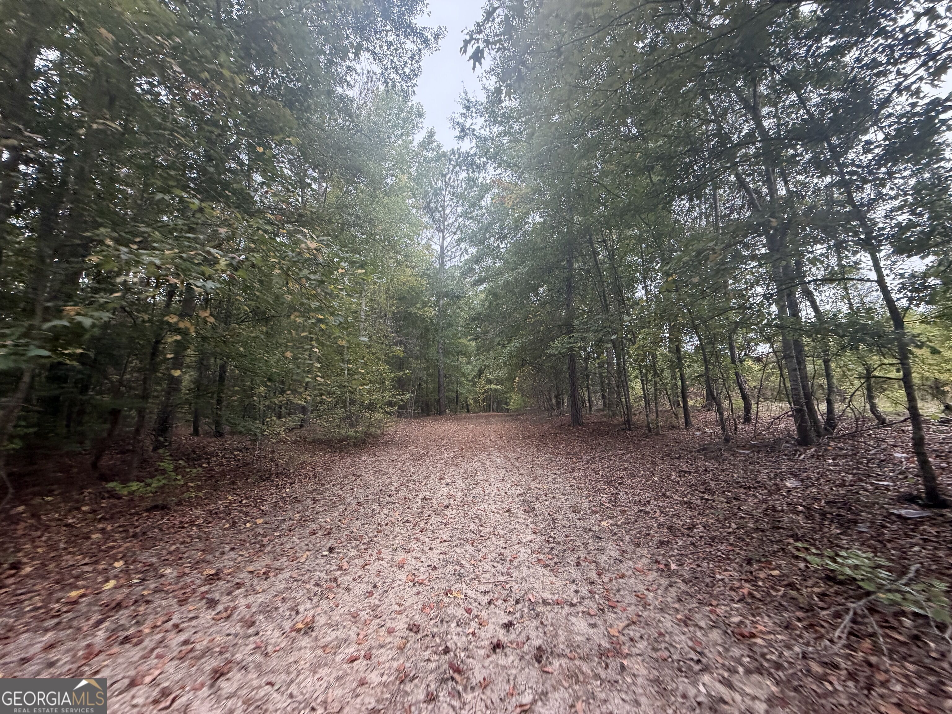 2643 Deepstep Creek Road Property Photo 69