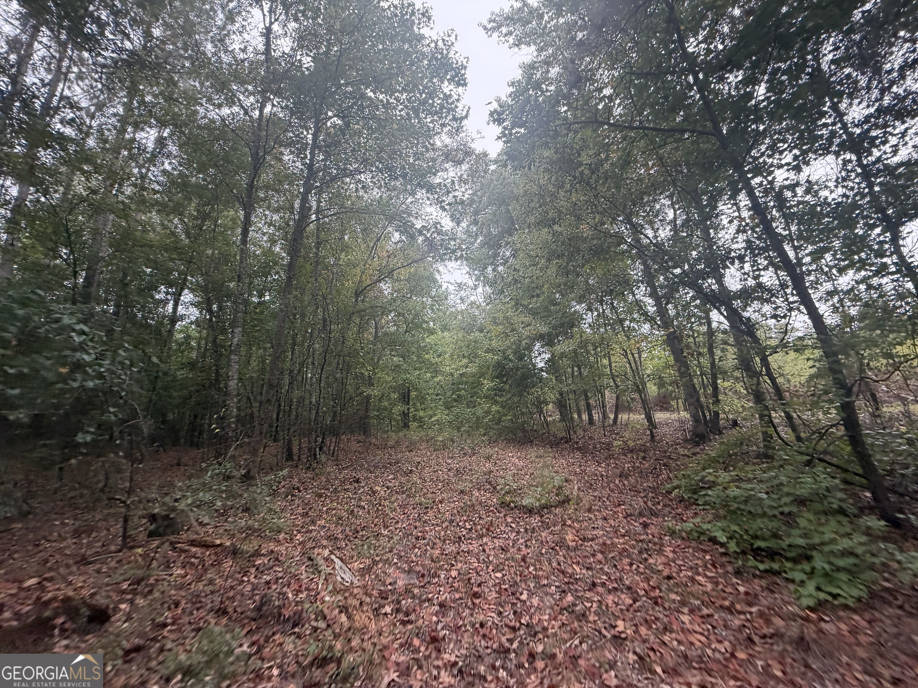 2643 Deepstep Creek Road Property Photo 71