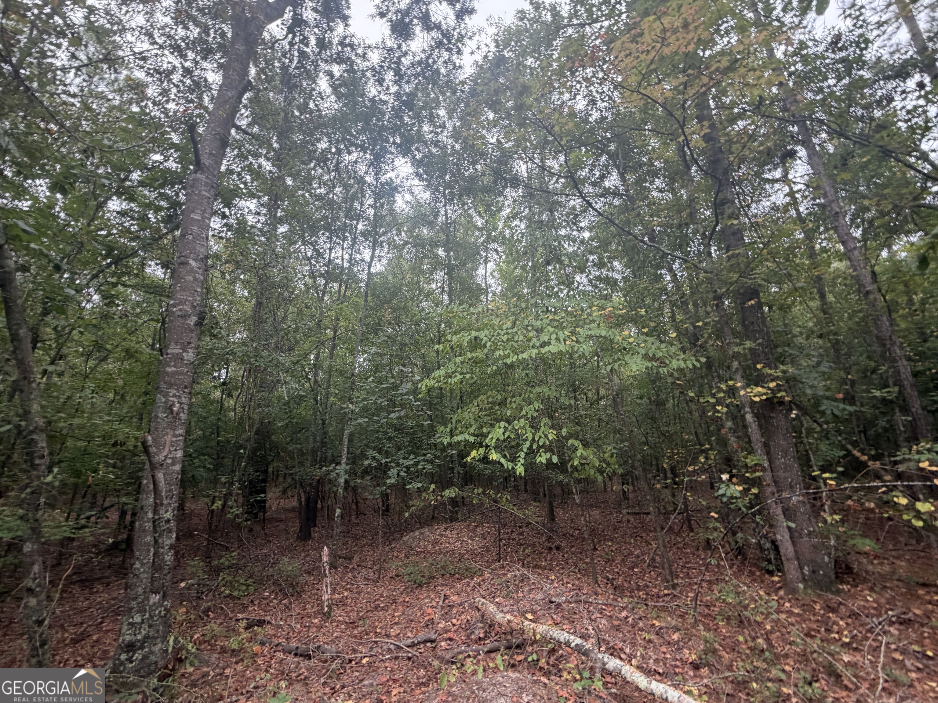 2643 Deepstep Creek Road Property Photo 72