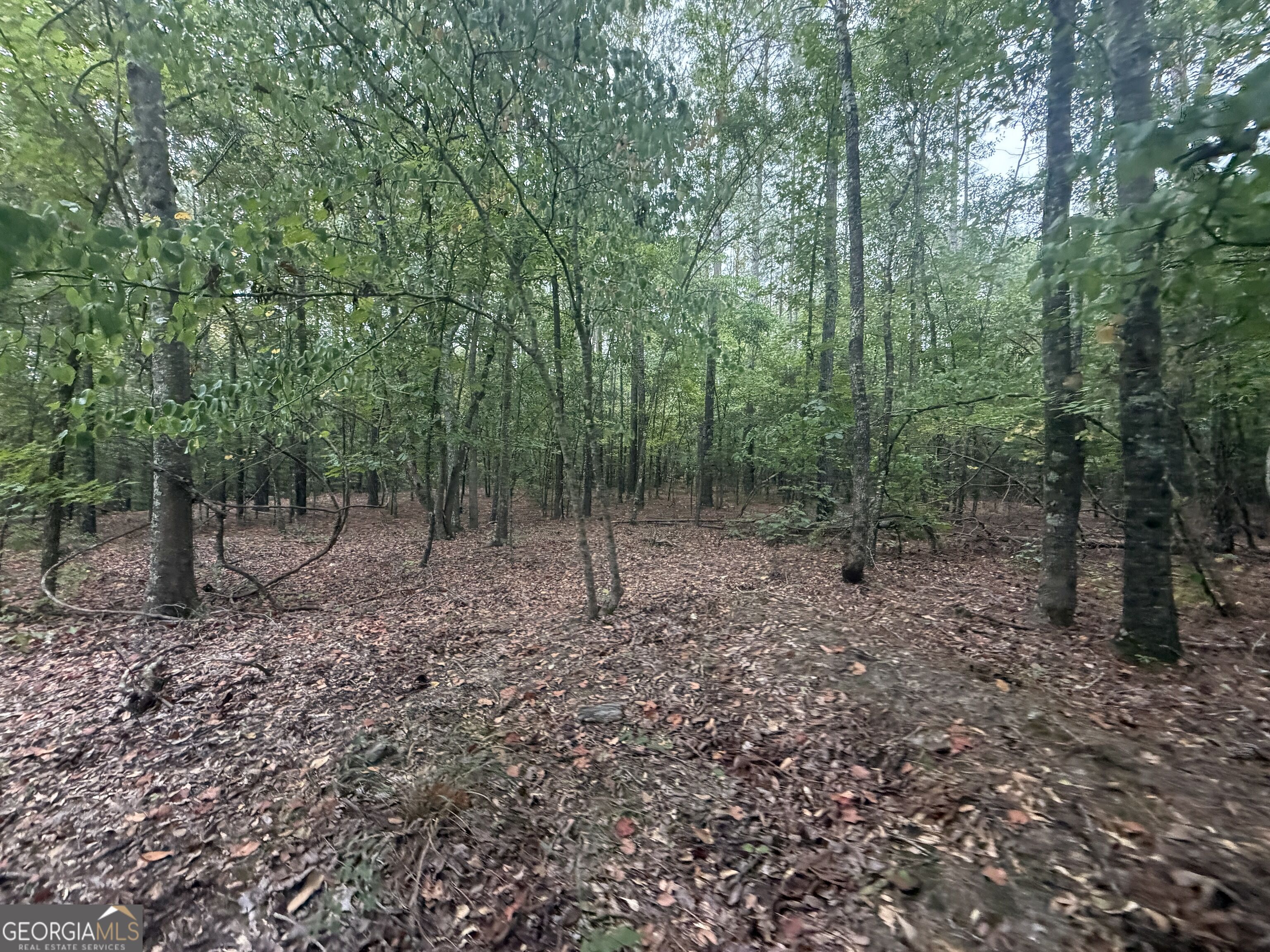 2643 Deepstep Creek Road Property Photo 73