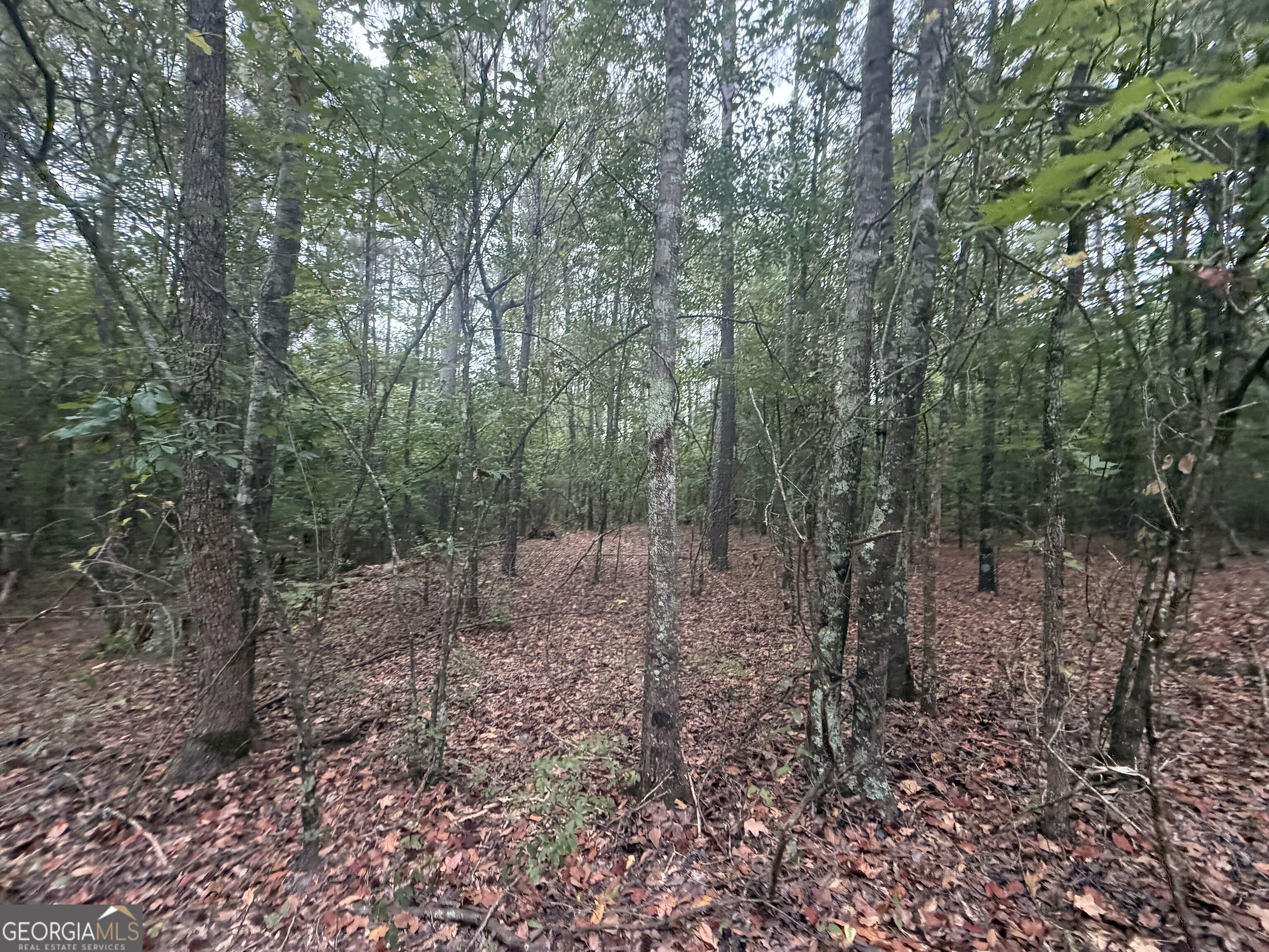 2643 Deepstep Creek Road Property Photo 74