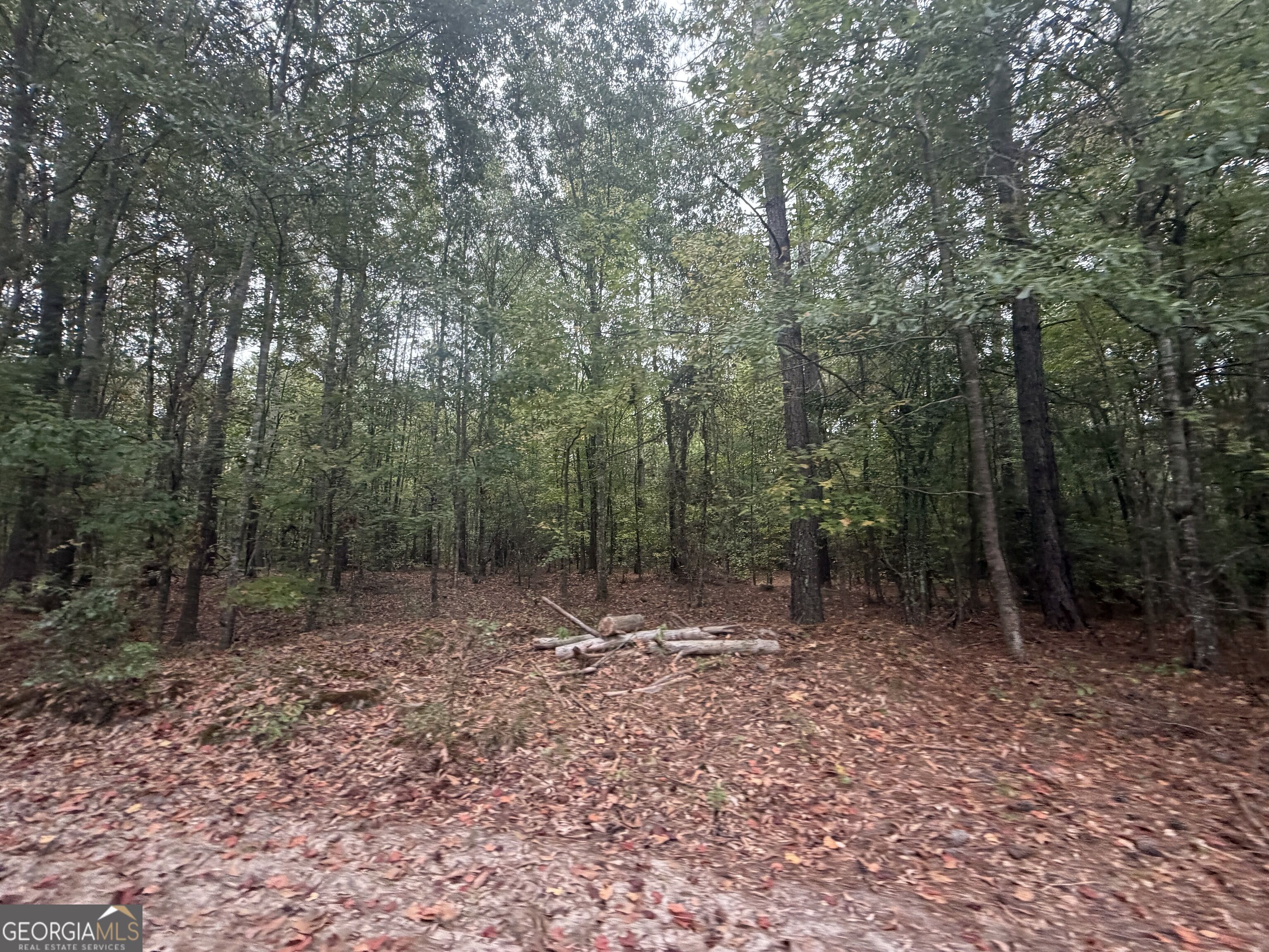 2643 Deepstep Creek Road Property Photo 75