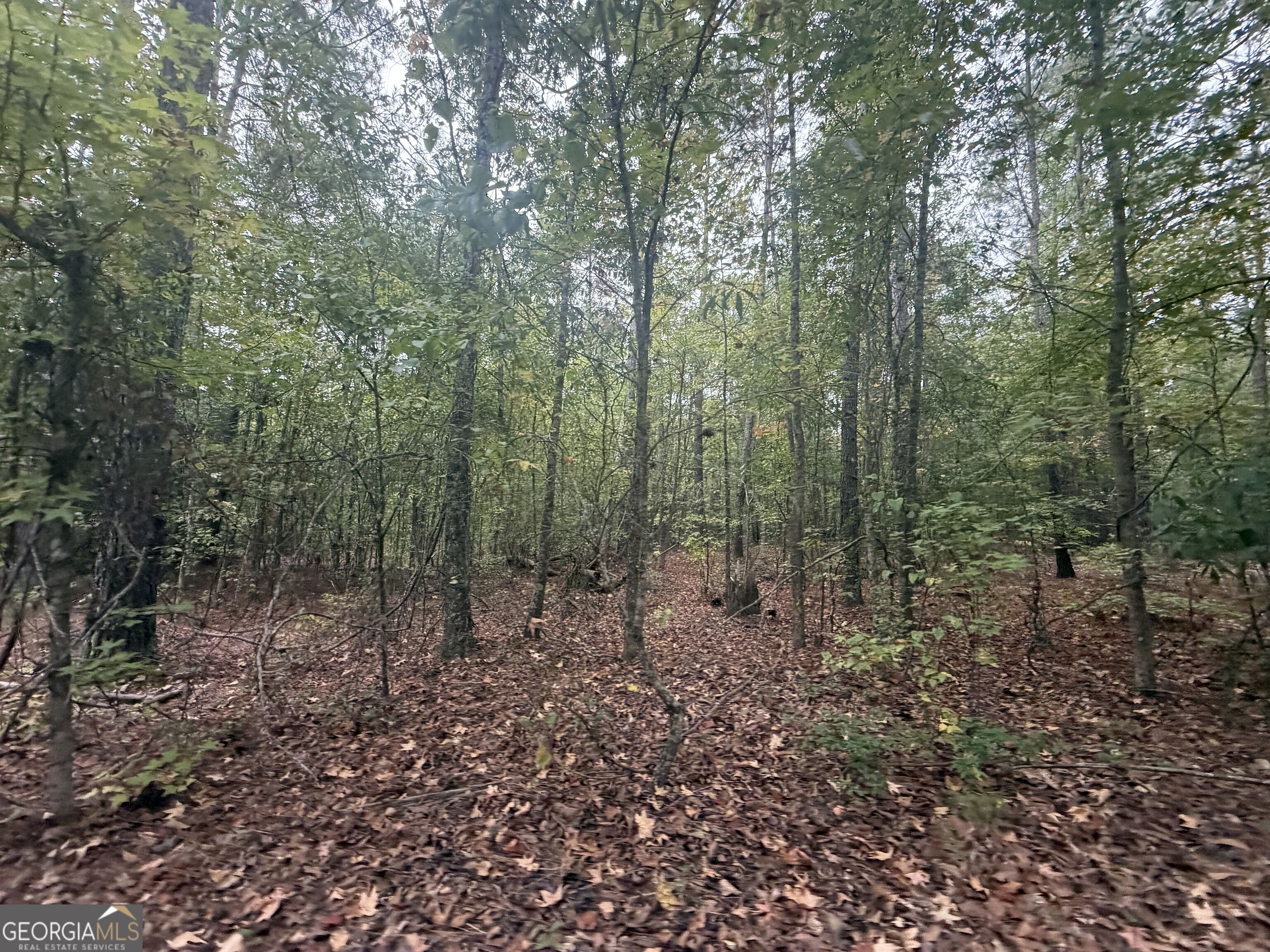 2643 Deepstep Creek Road Property Photo 77