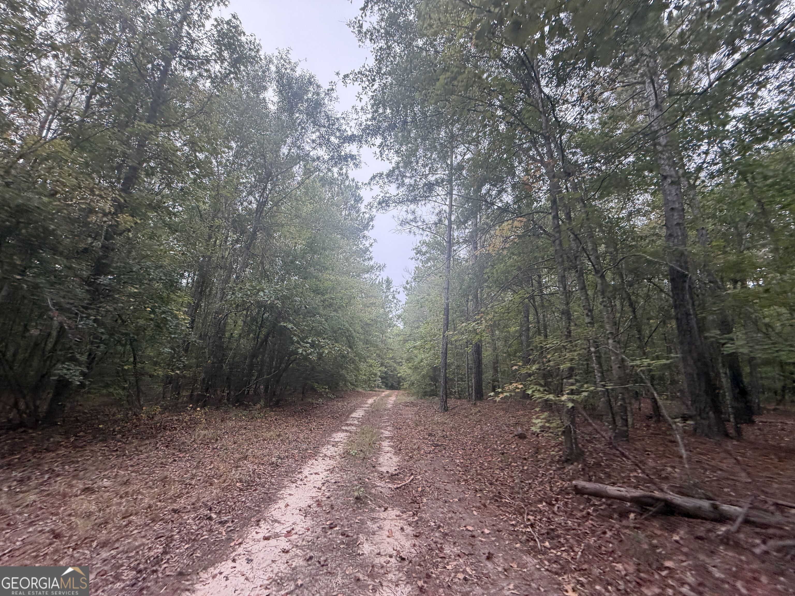 2643 Deepstep Creek Road Property Photo 78
