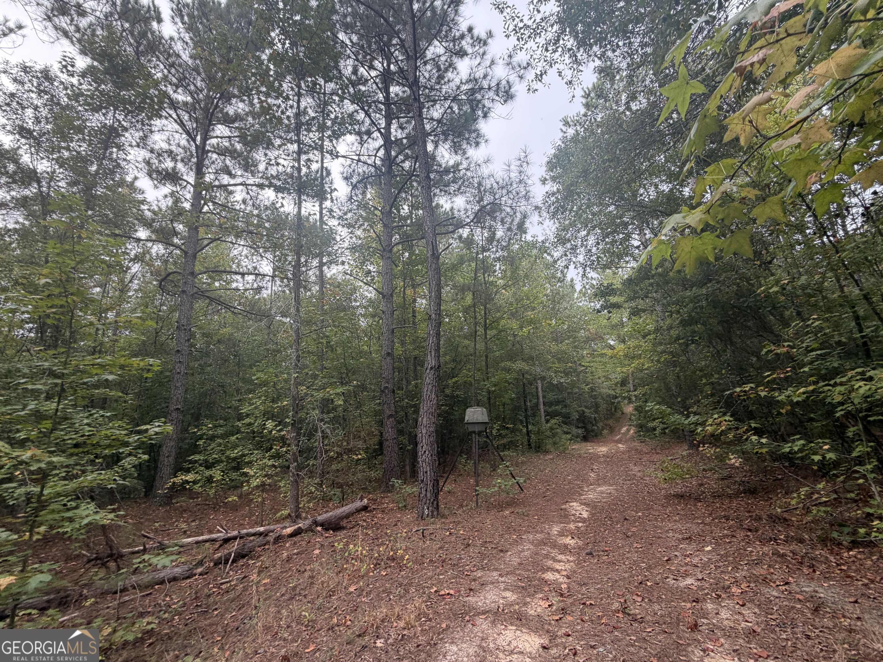 2643 Deepstep Creek Road Property Photo 79