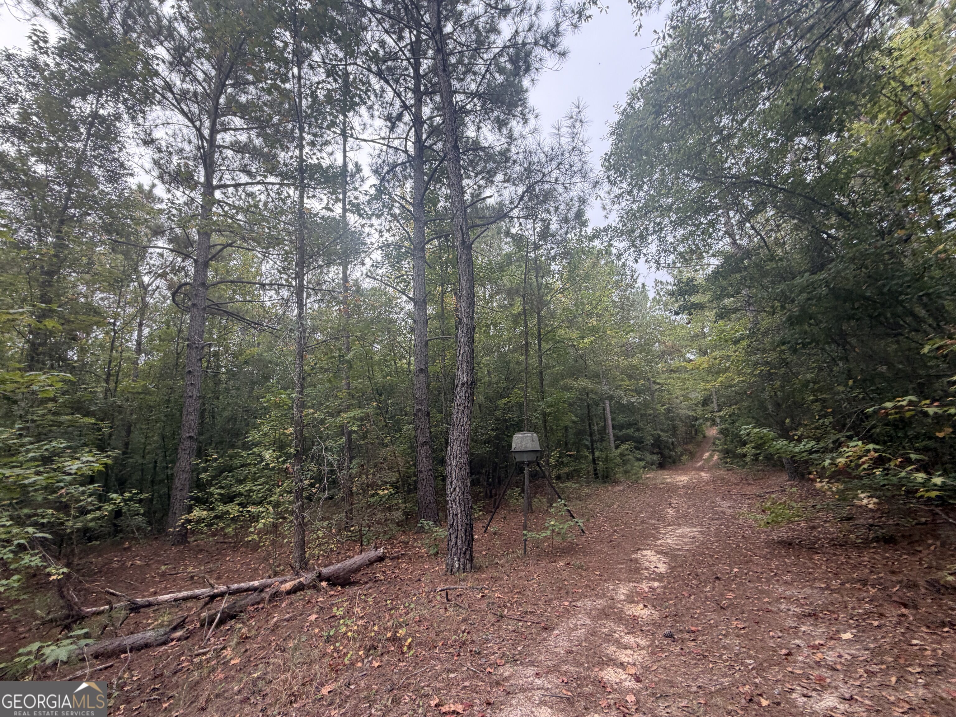 2643 Deepstep Creek Road Property Photo 80