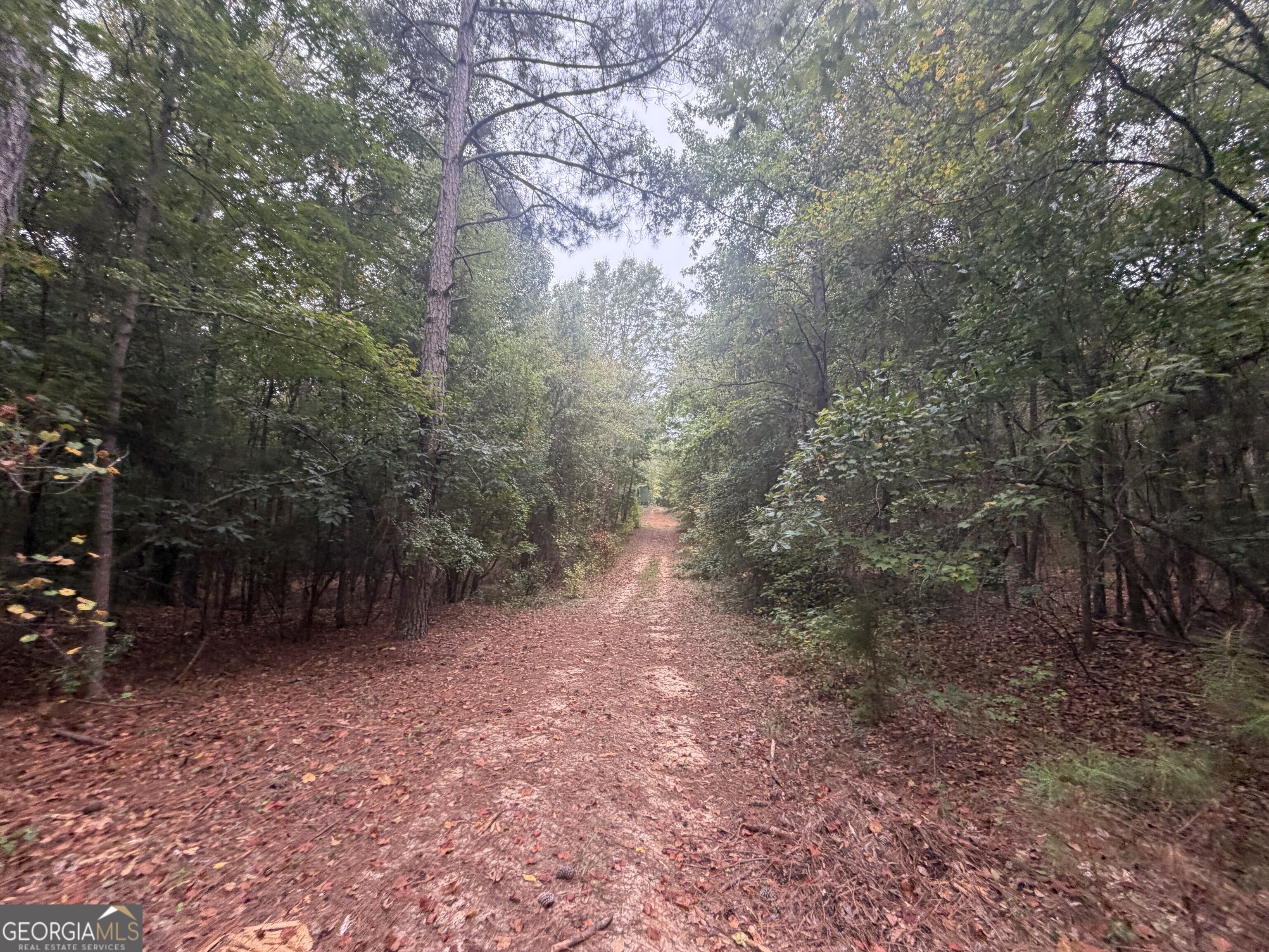 2643 Deepstep Creek Road Property Photo 81