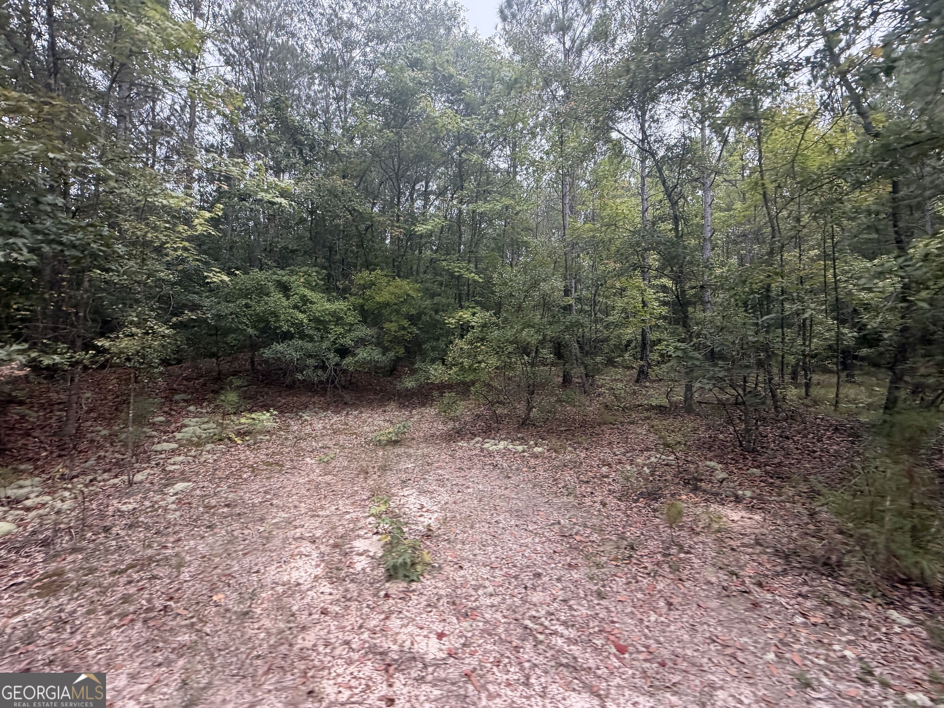 2643 Deepstep Creek Road Property Photo 83