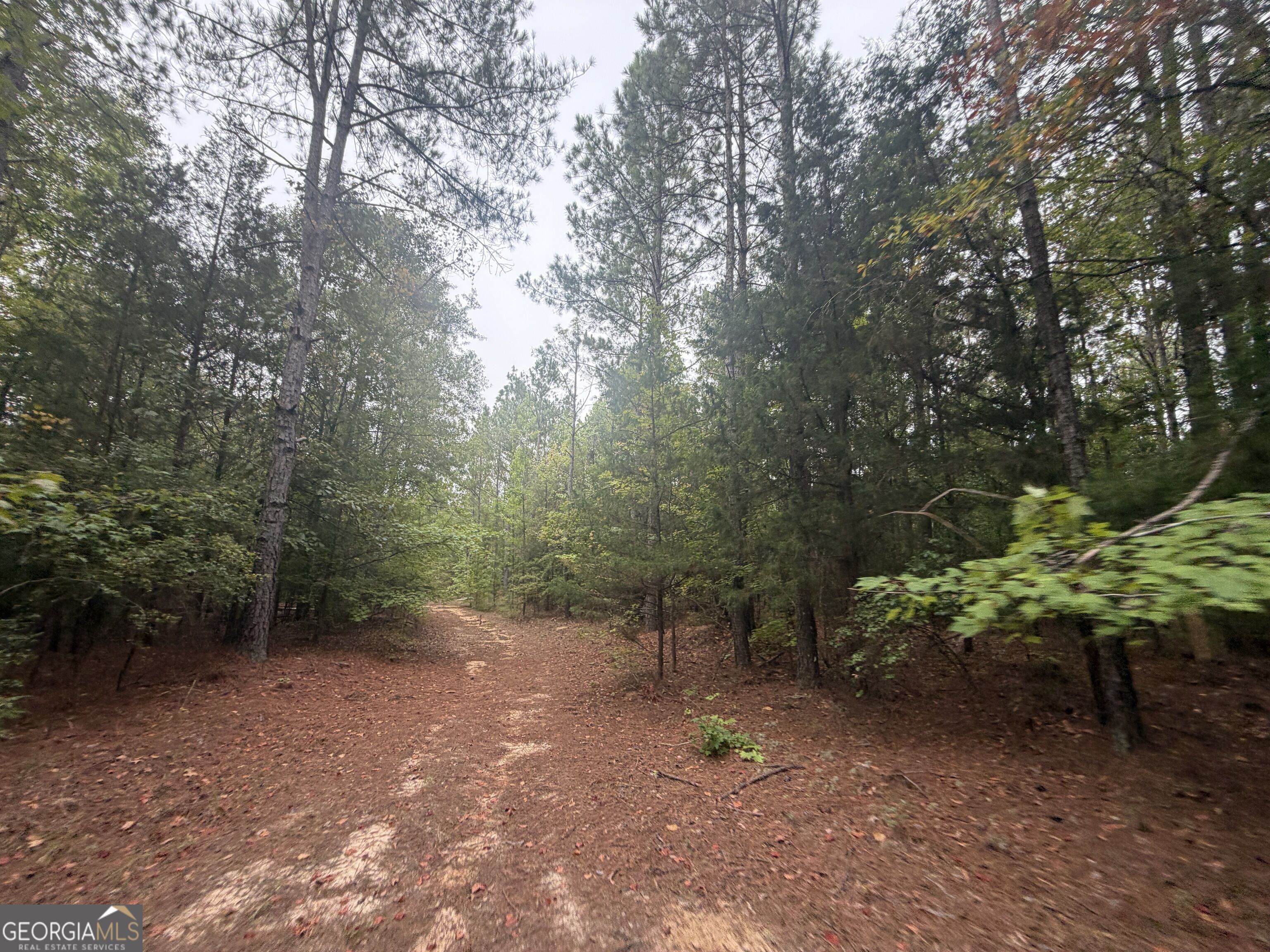 2643 Deepstep Creek Road Property Photo 84