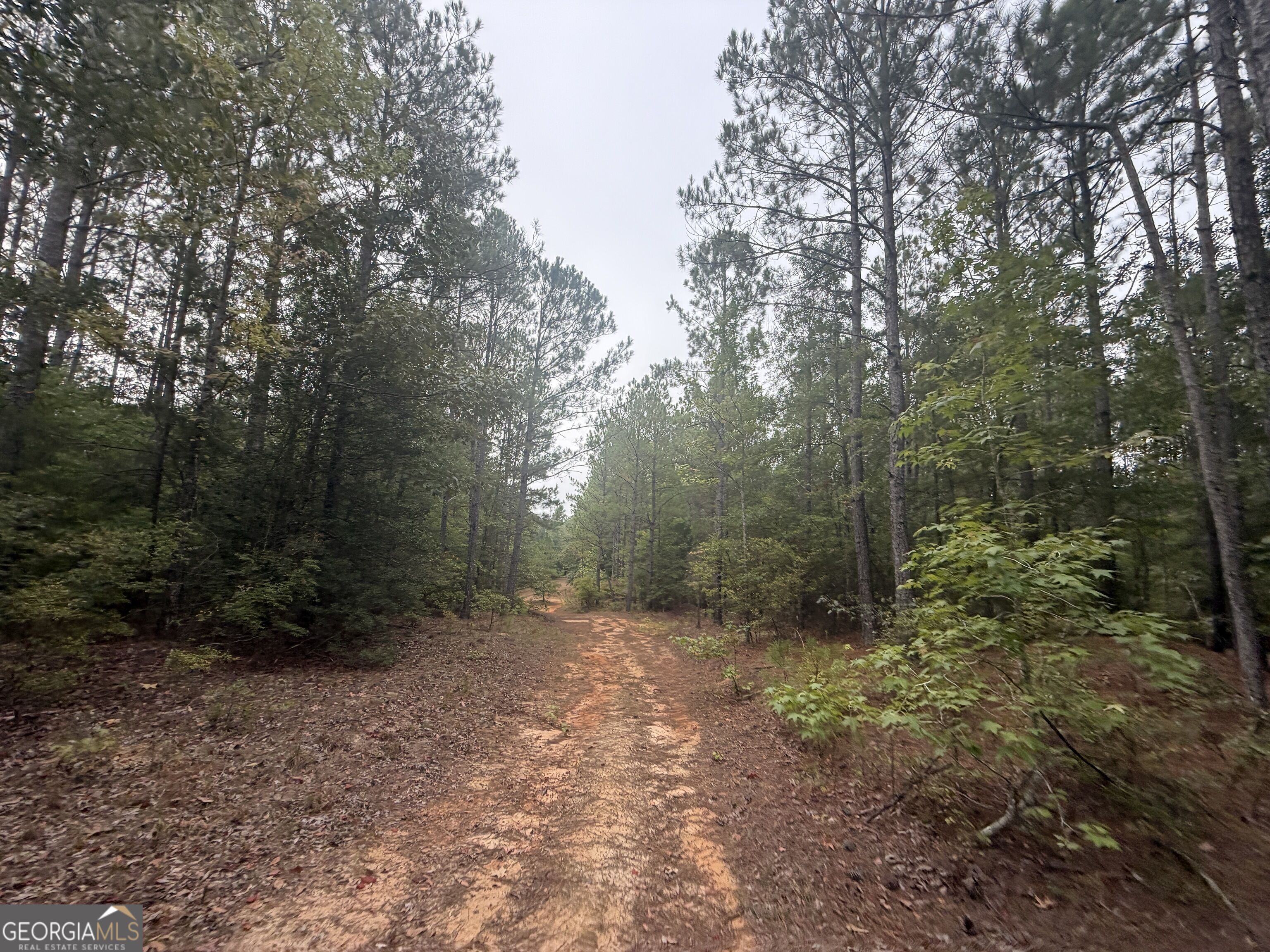 2643 Deepstep Creek Road Property Photo 85