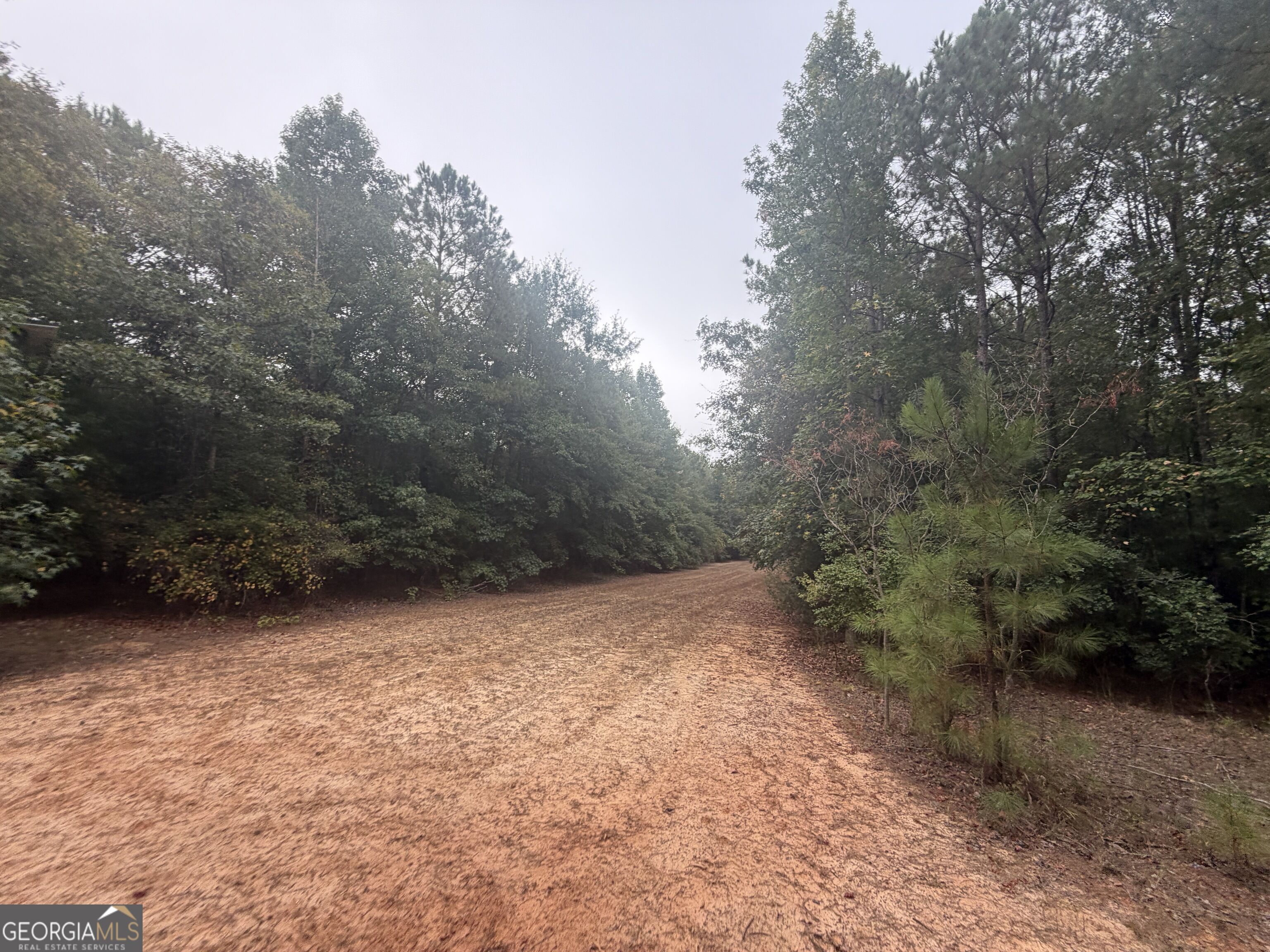 2643 Deepstep Creek Road Property Photo 86