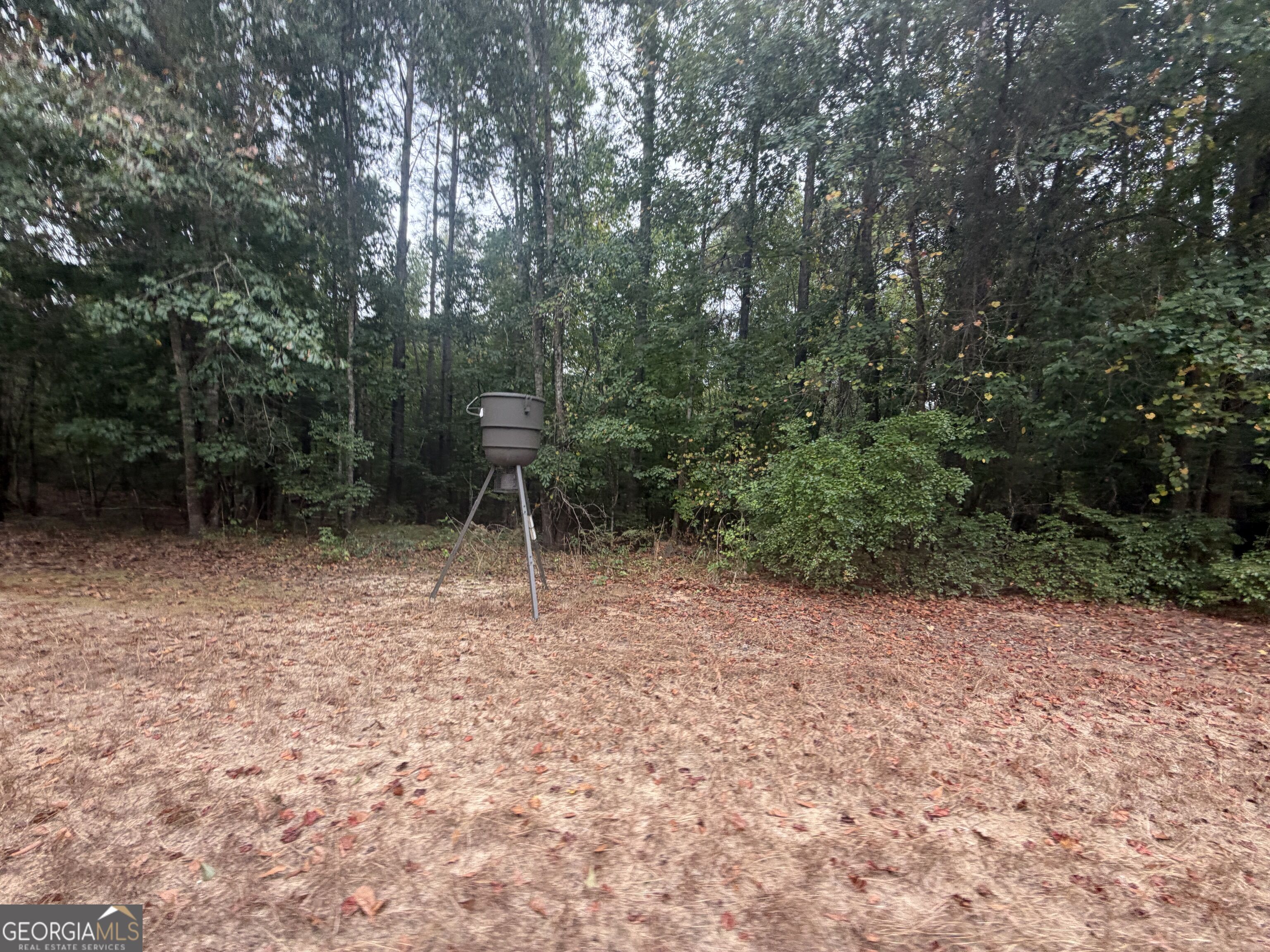 2643 Deepstep Creek Road Property Photo 87