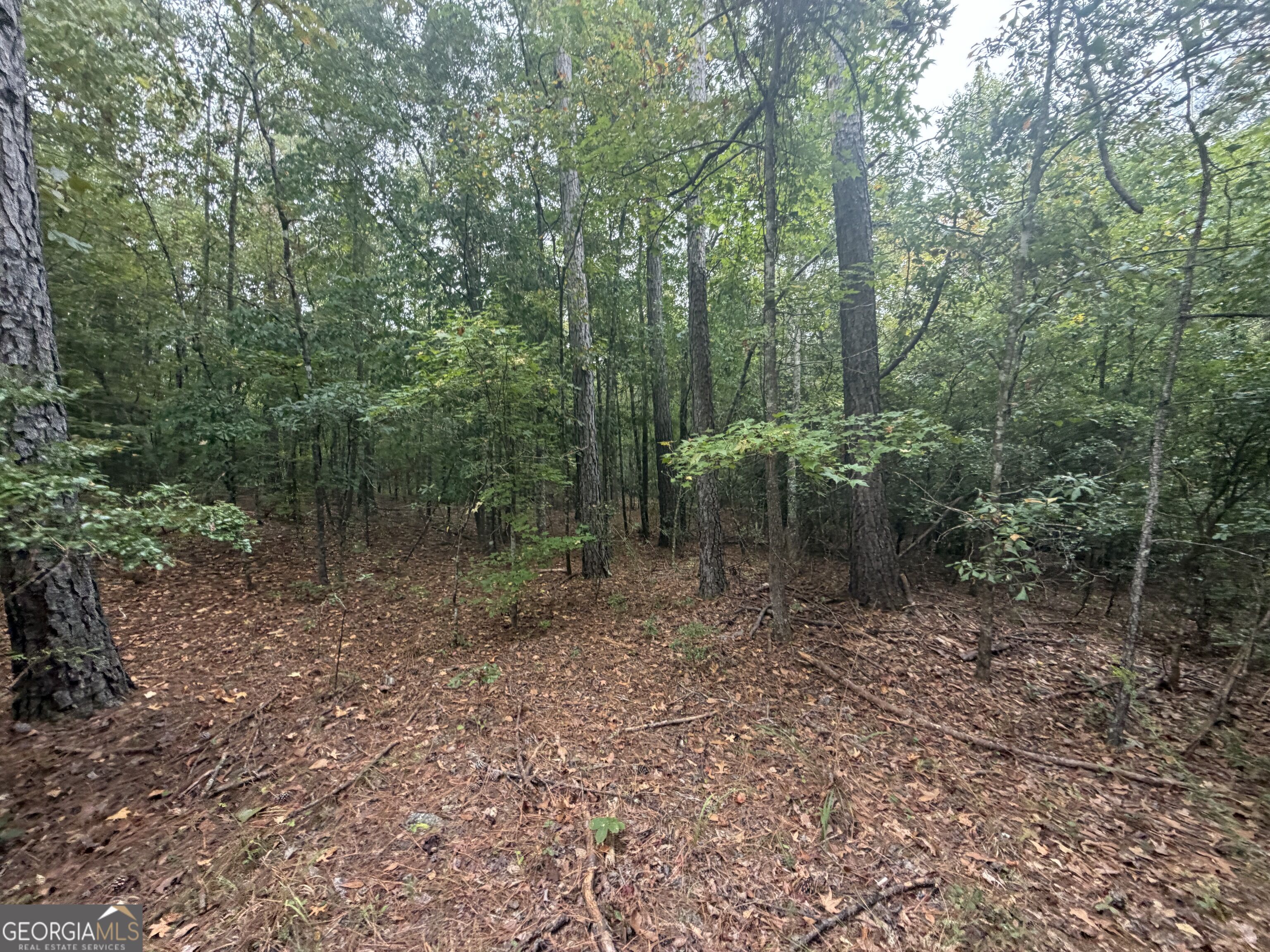 2643 Deepstep Creek Road Property Photo 88