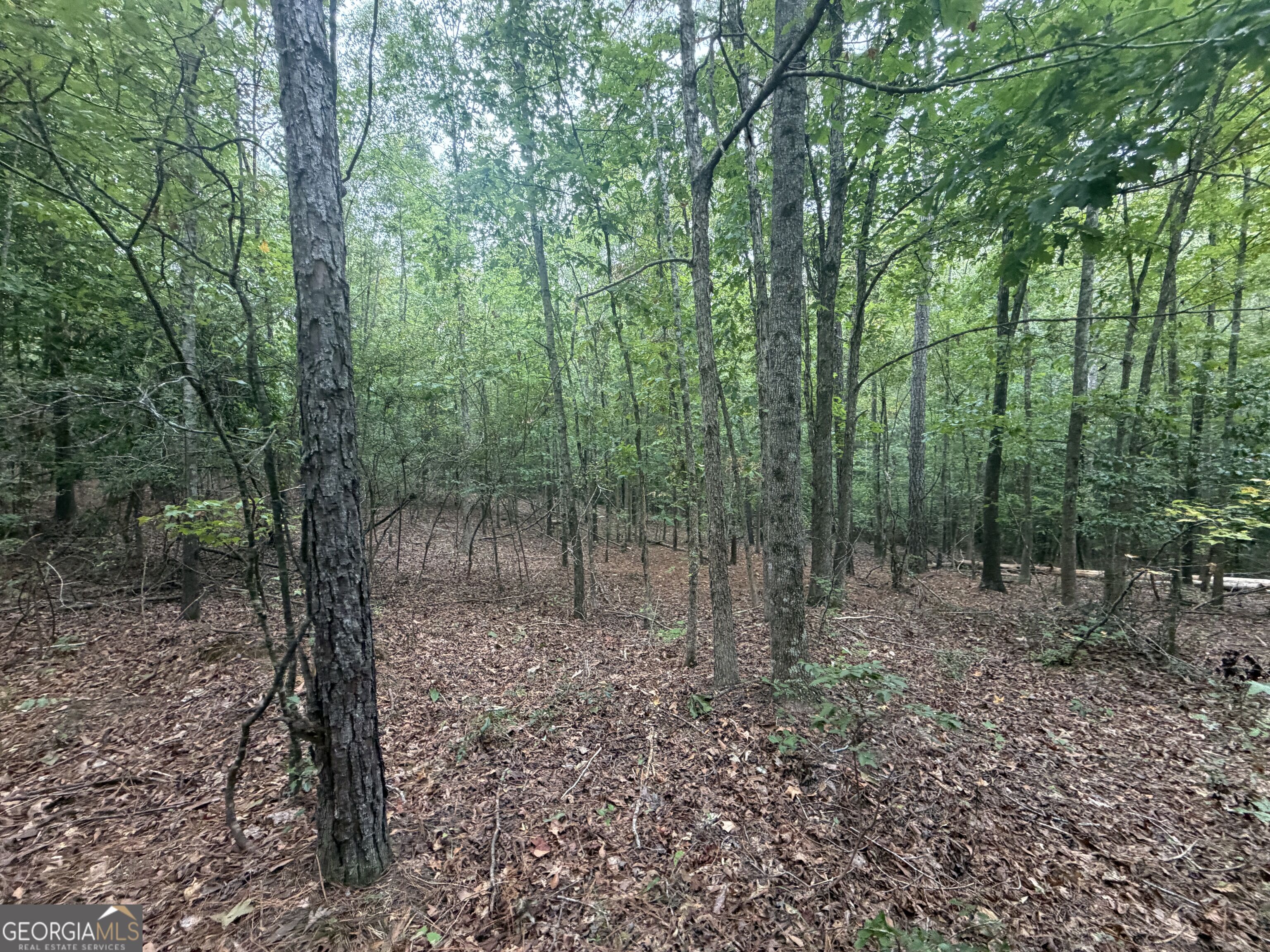 2643 Deepstep Creek Road Property Photo 89