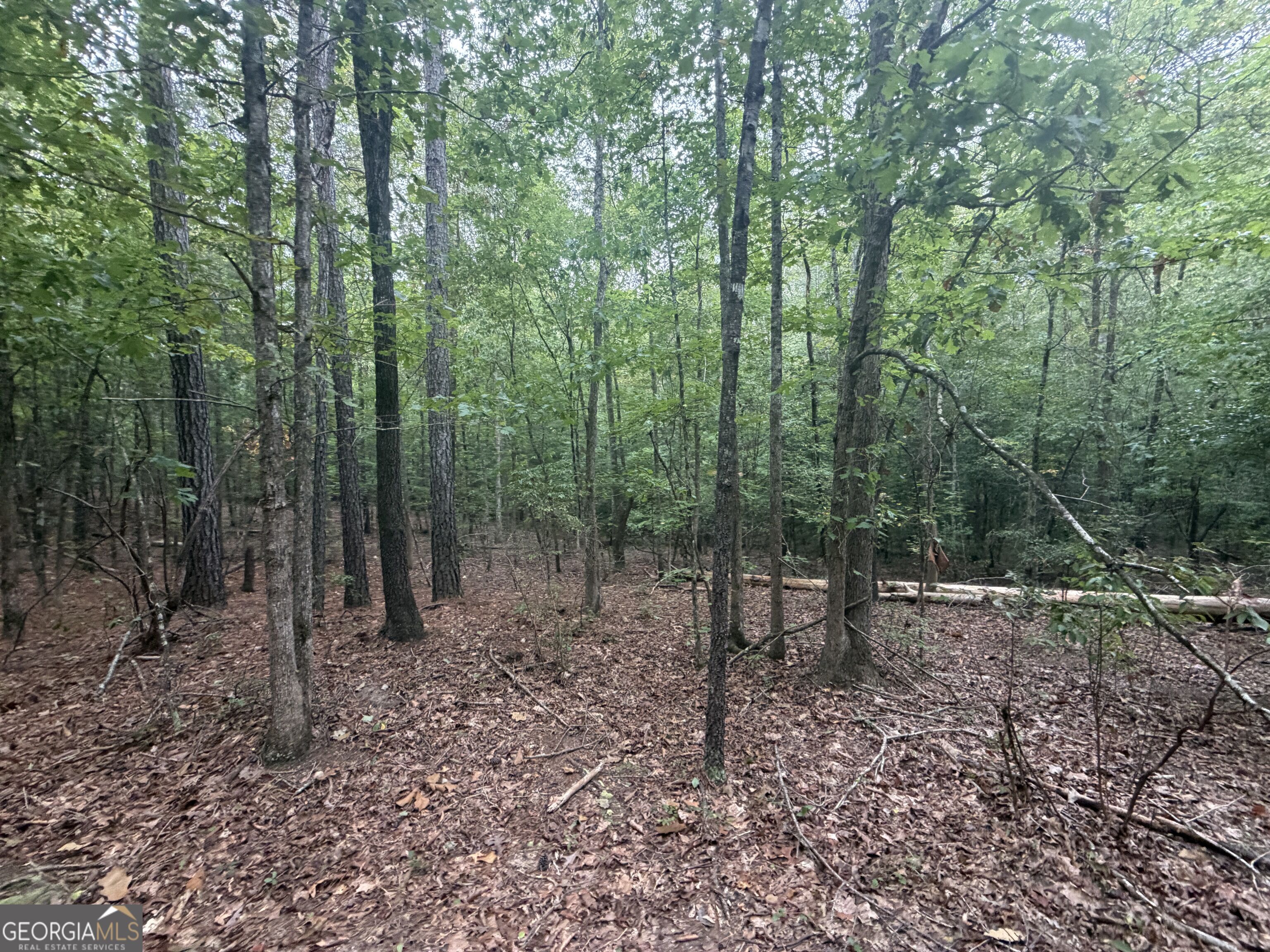 2643 Deepstep Creek Road Property Photo 90