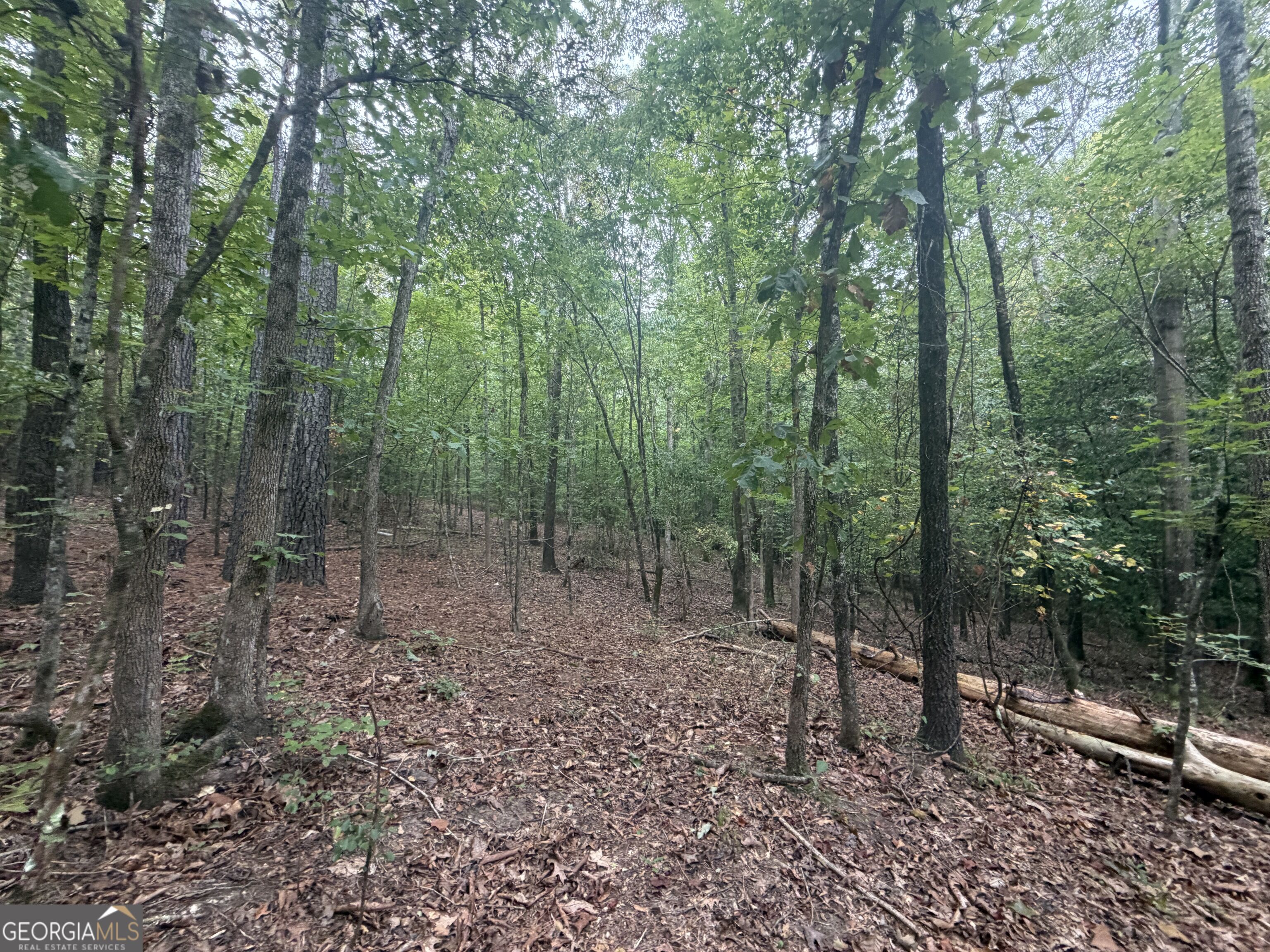 2643 Deepstep Creek Road Property Photo 91