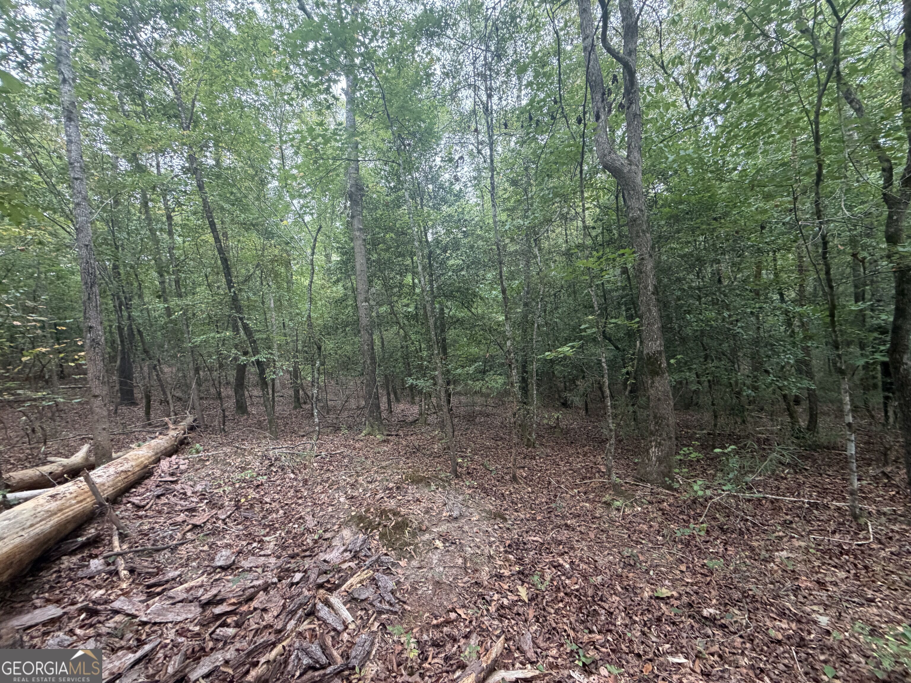 2643 Deepstep Creek Road Property Photo 92