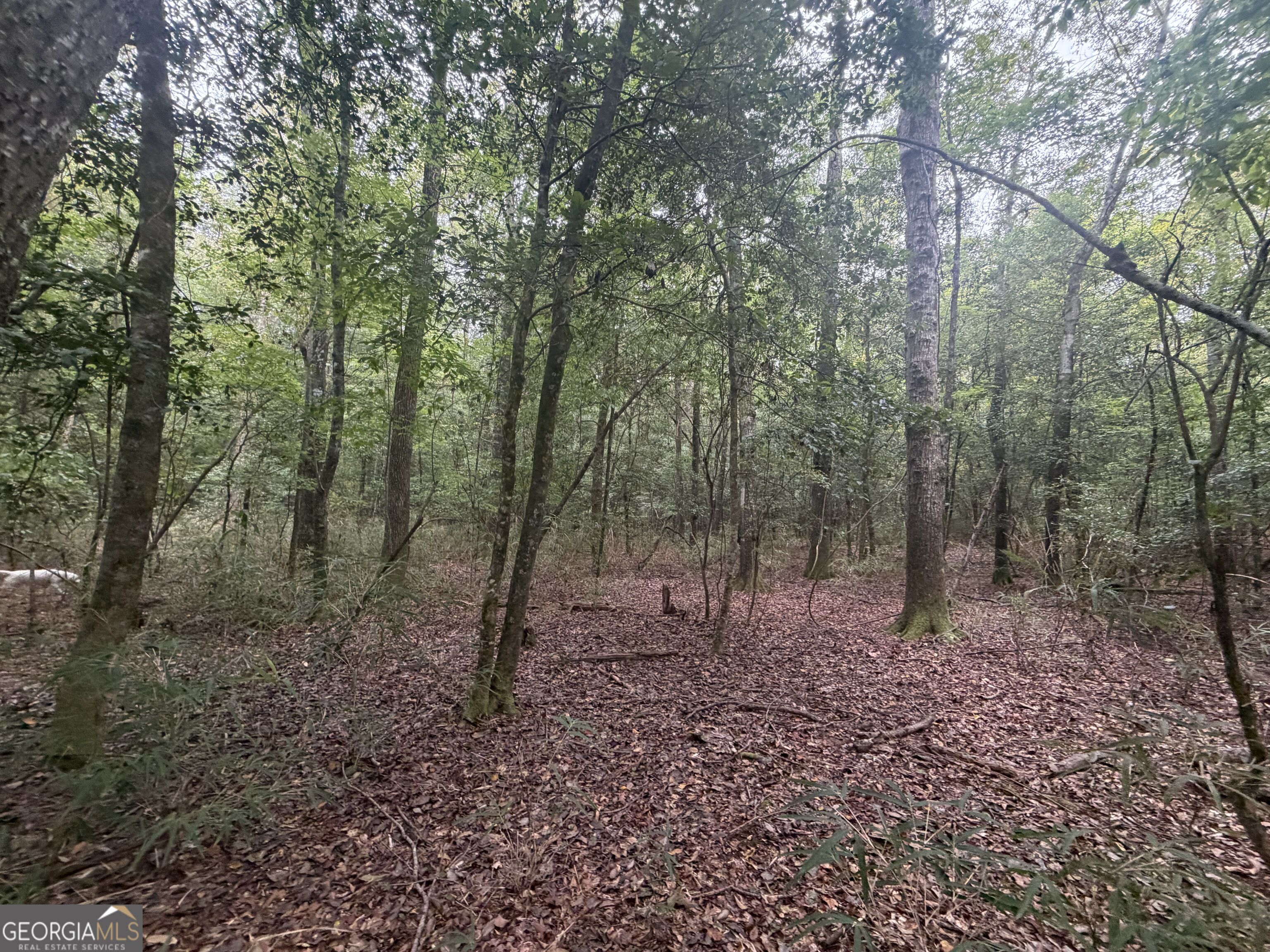 2643 Deepstep Creek Road Property Photo 93