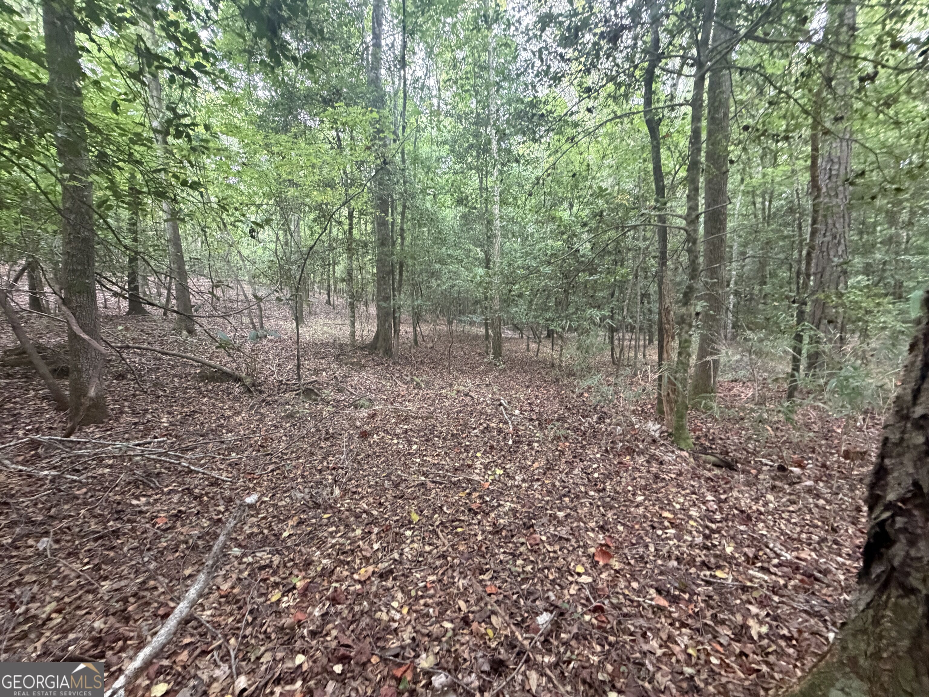 2643 Deepstep Creek Road Property Photo 94