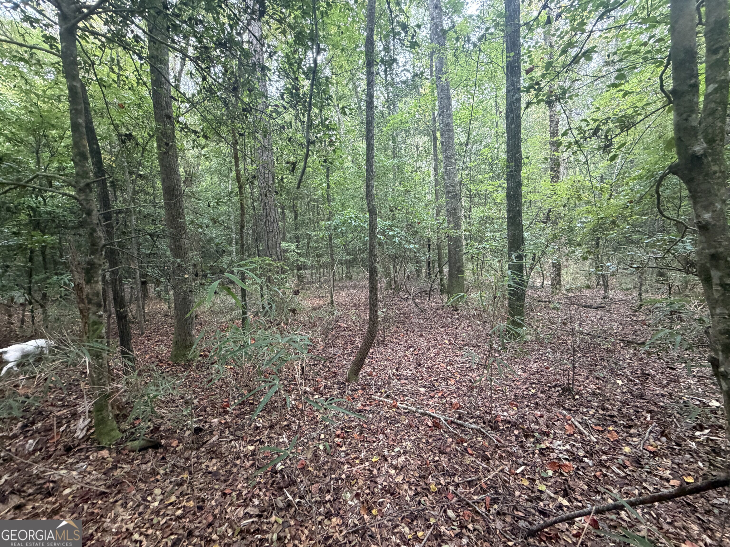 2643 Deepstep Creek Road Property Photo 95