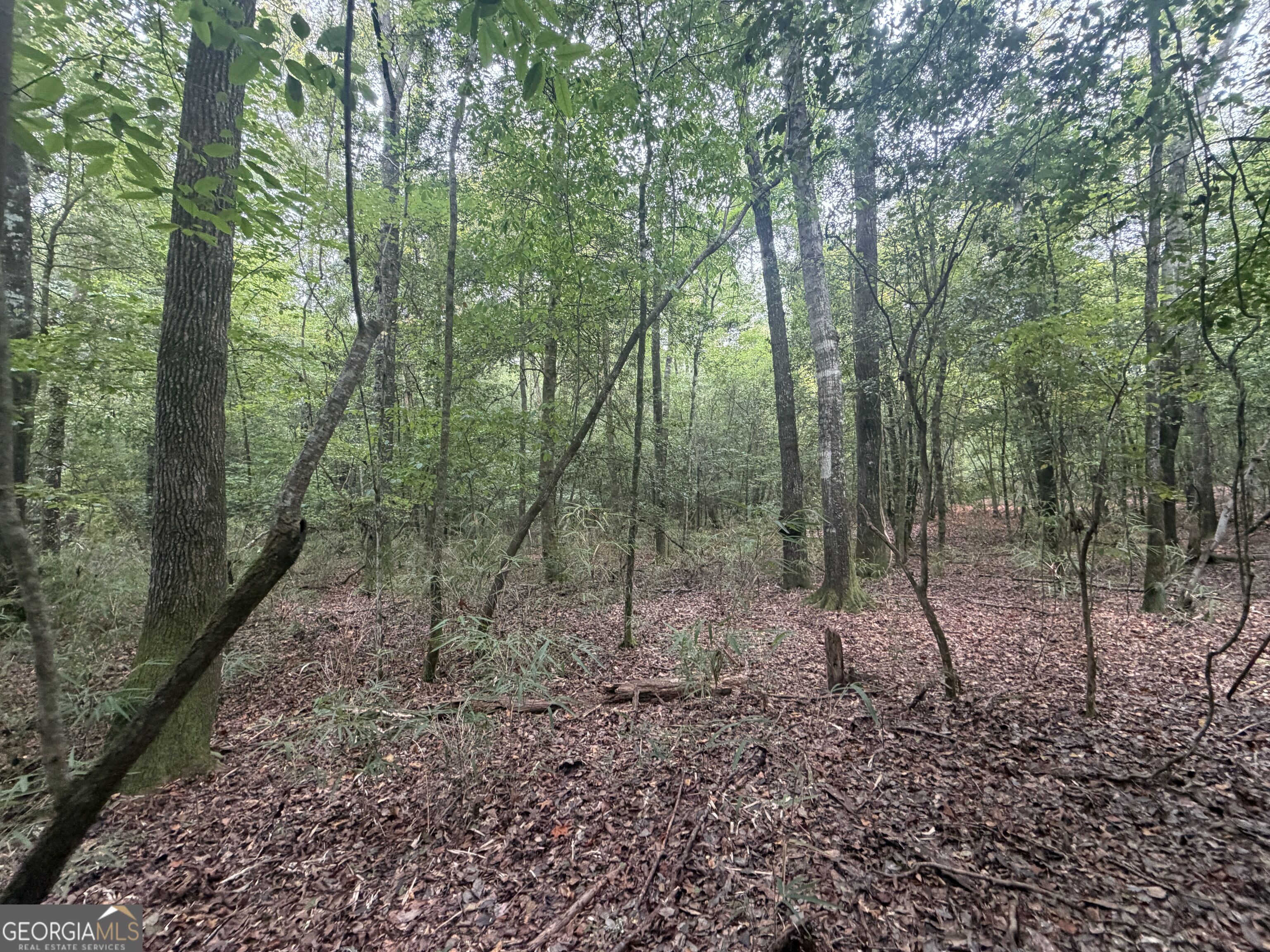 2643 Deepstep Creek Road Property Photo 96