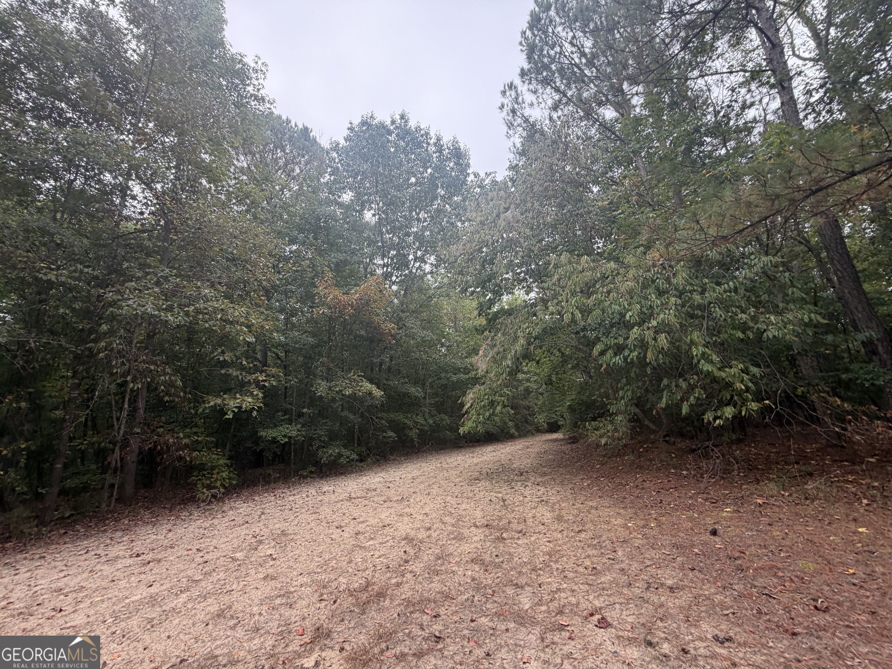 2643 Deepstep Creek Road Property Photo 97