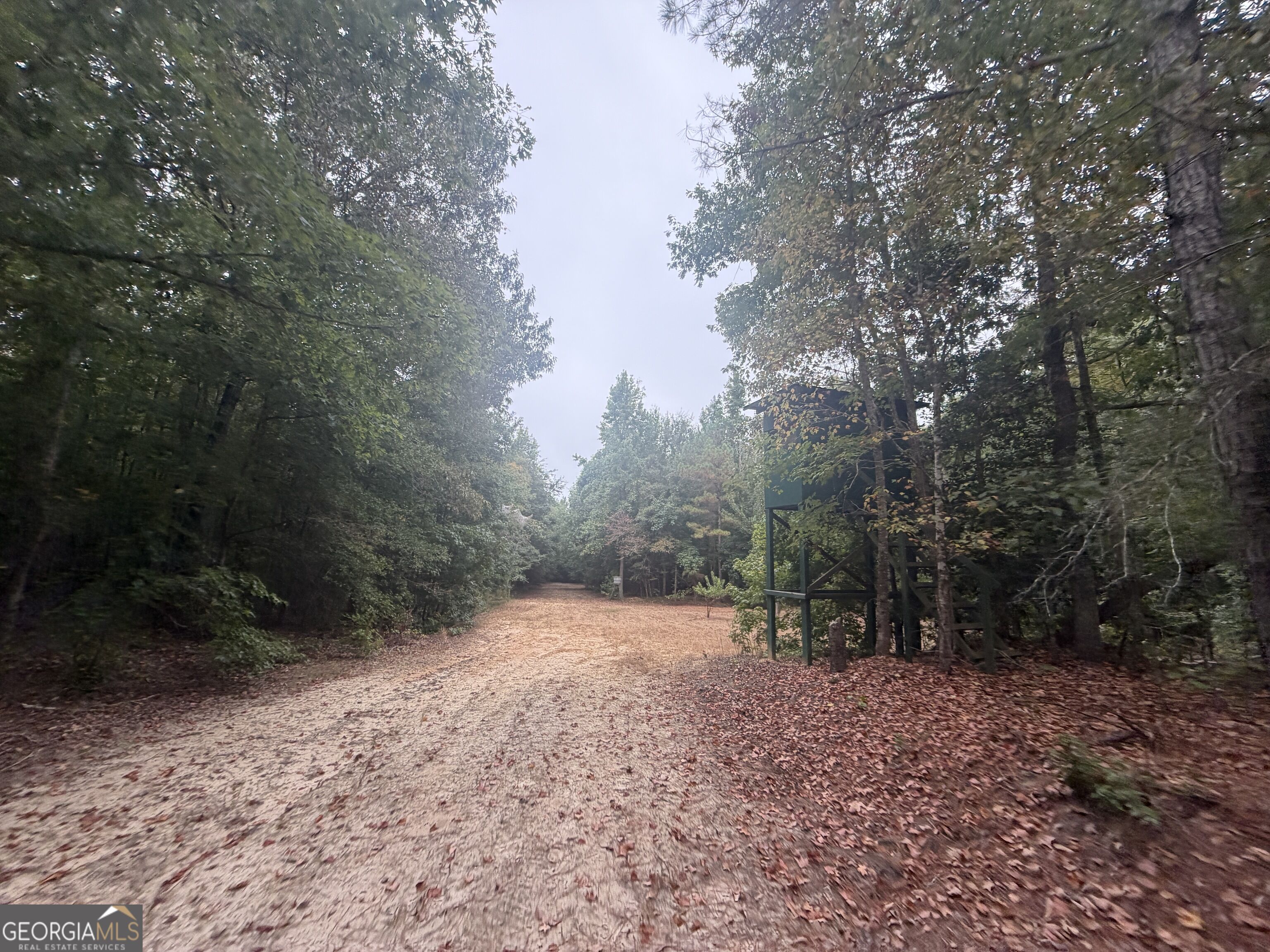 2643 Deepstep Creek Road Property Photo 98