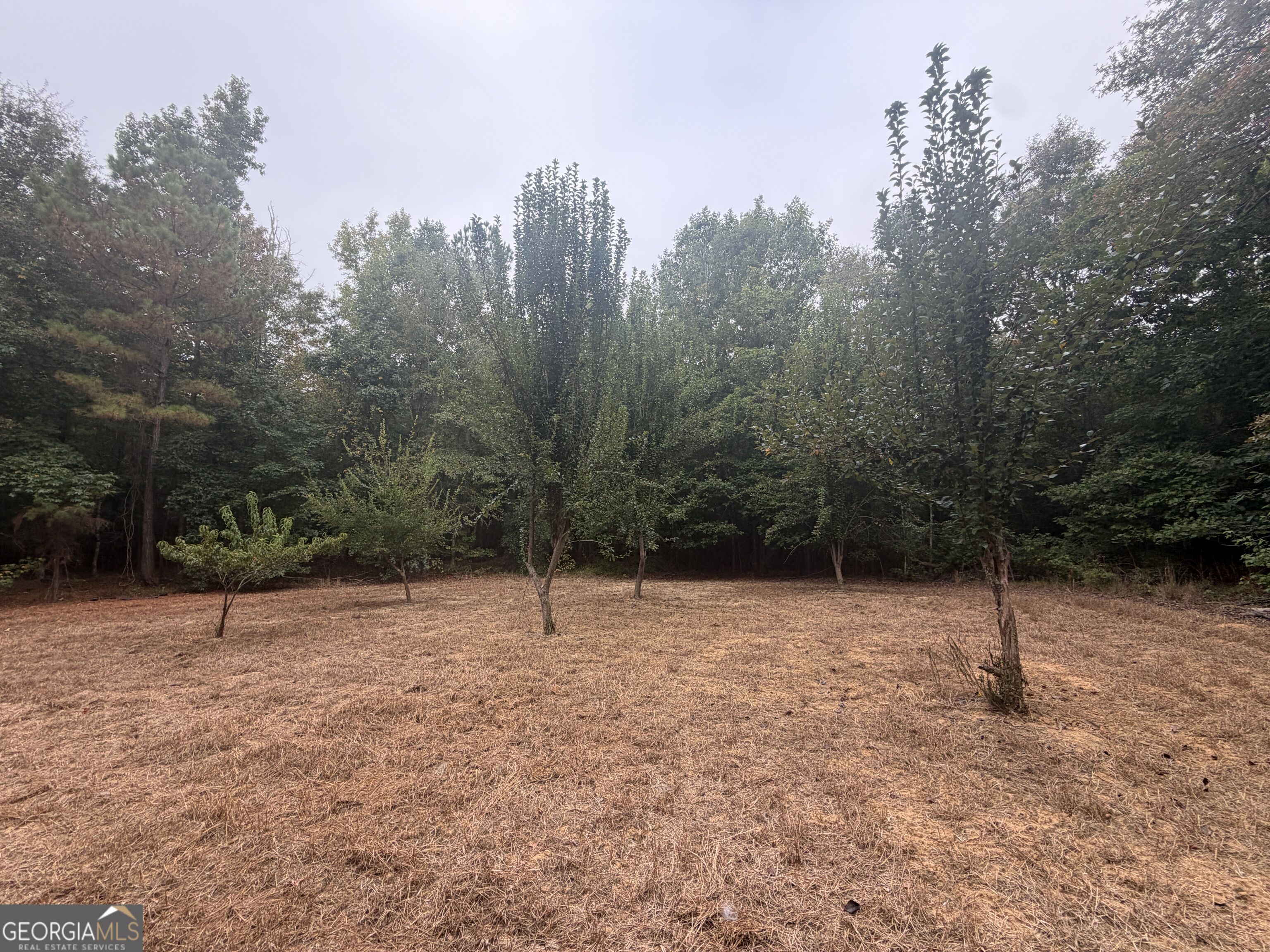 2643 Deepstep Creek Road Property Photo 101