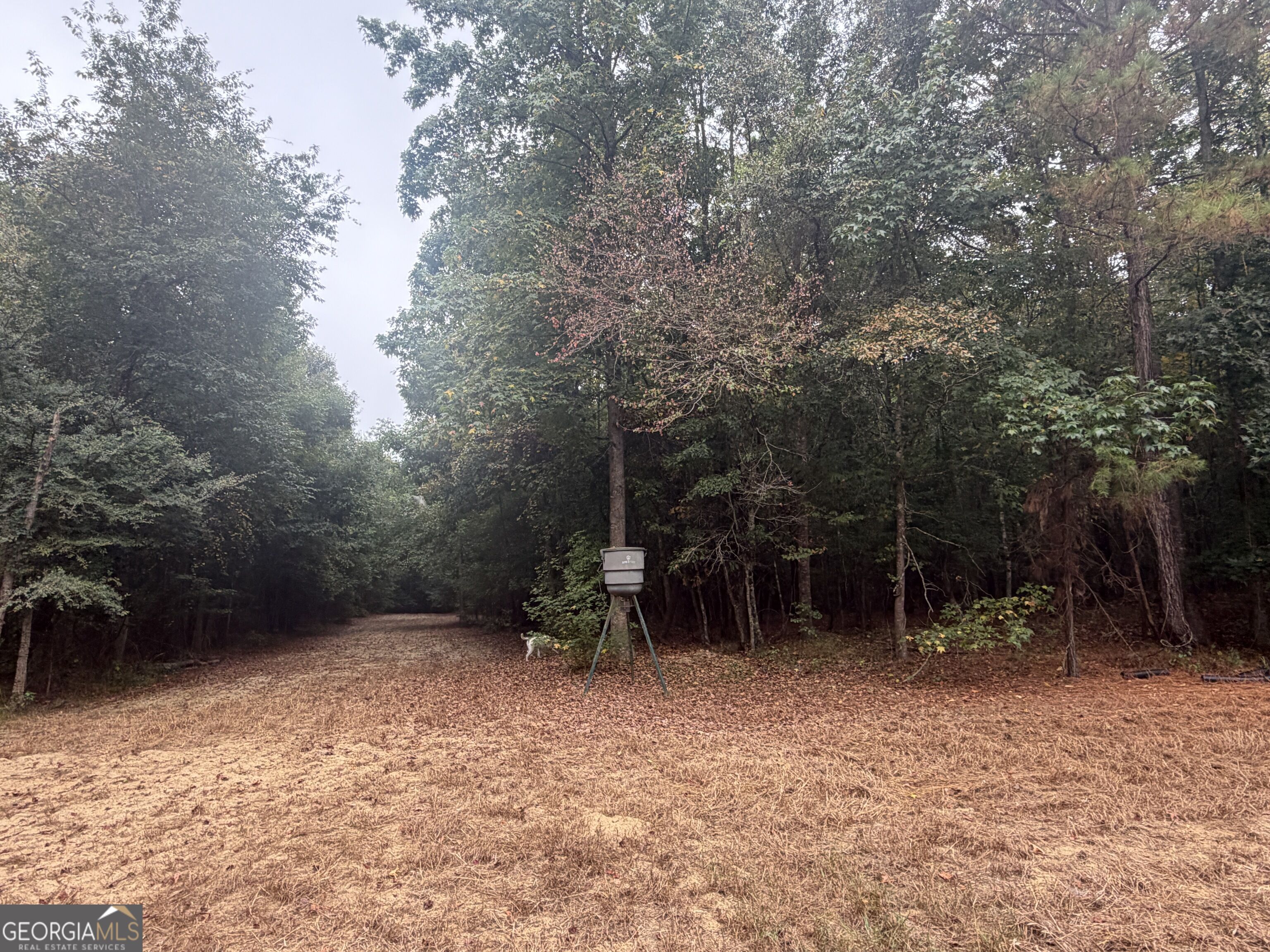 2643 Deepstep Creek Road Property Photo 102