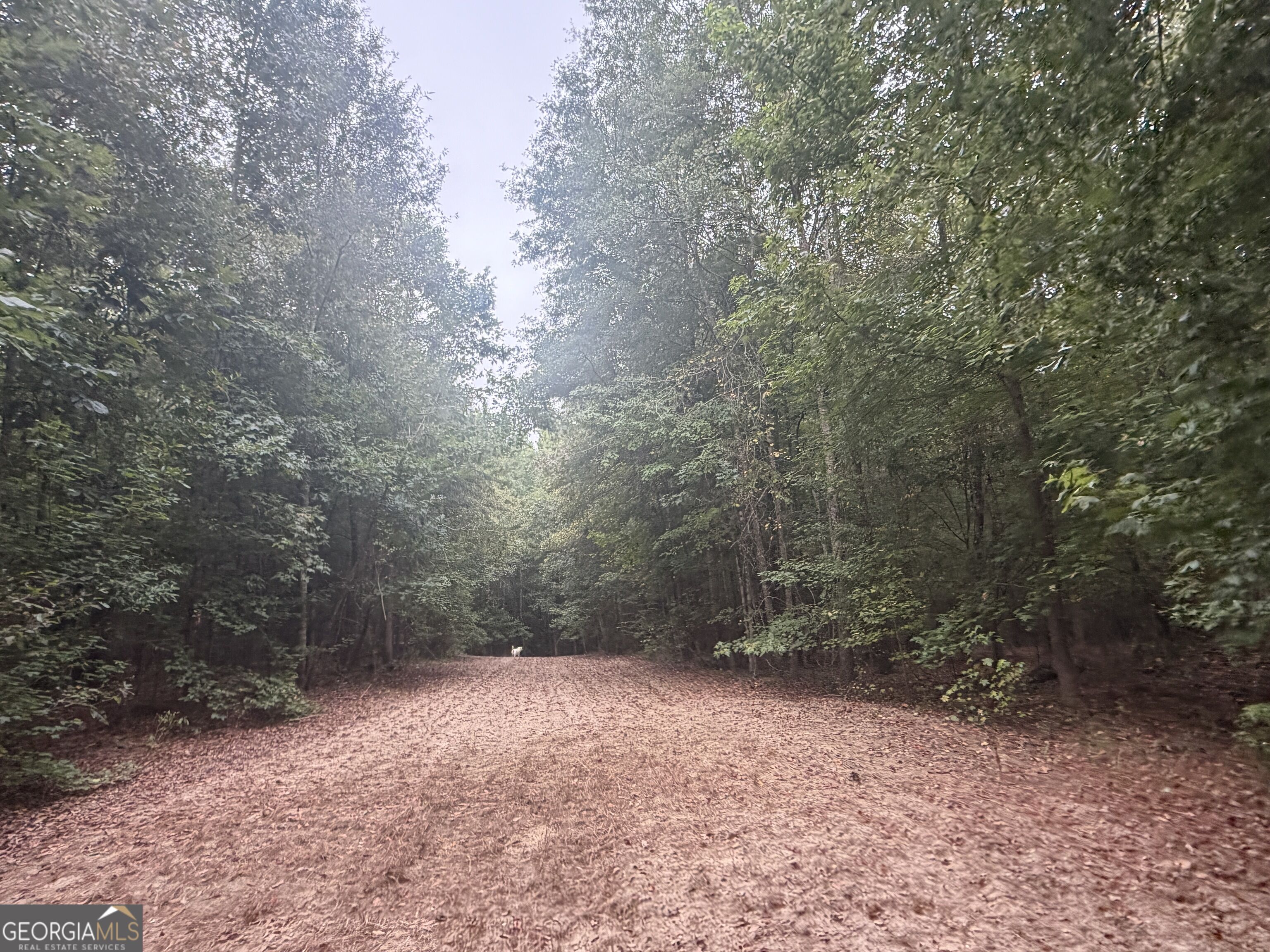 2643 Deepstep Creek Road Property Photo 103