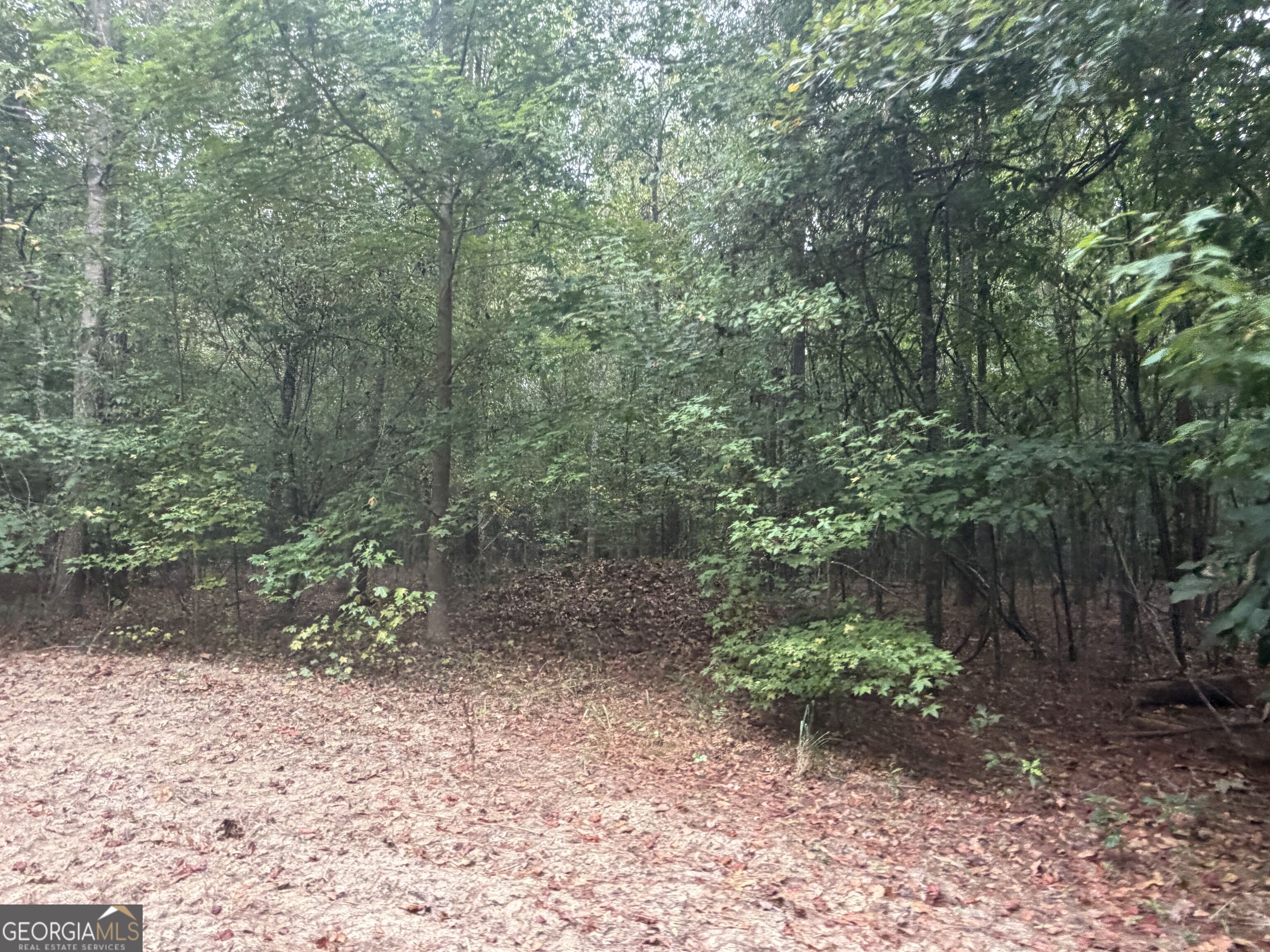 2643 Deepstep Creek Road Property Photo 104