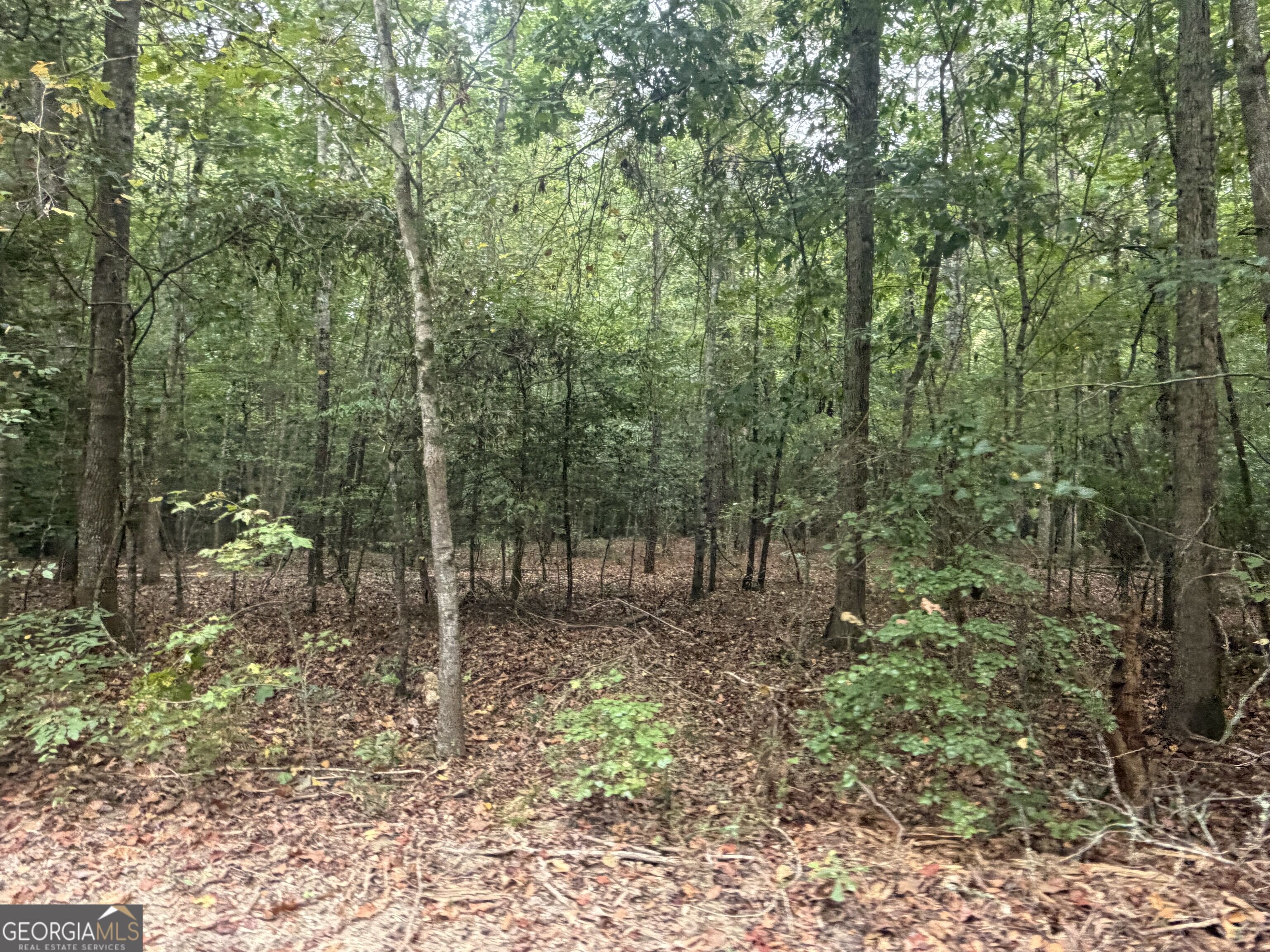 2643 Deepstep Creek Road Property Photo 105