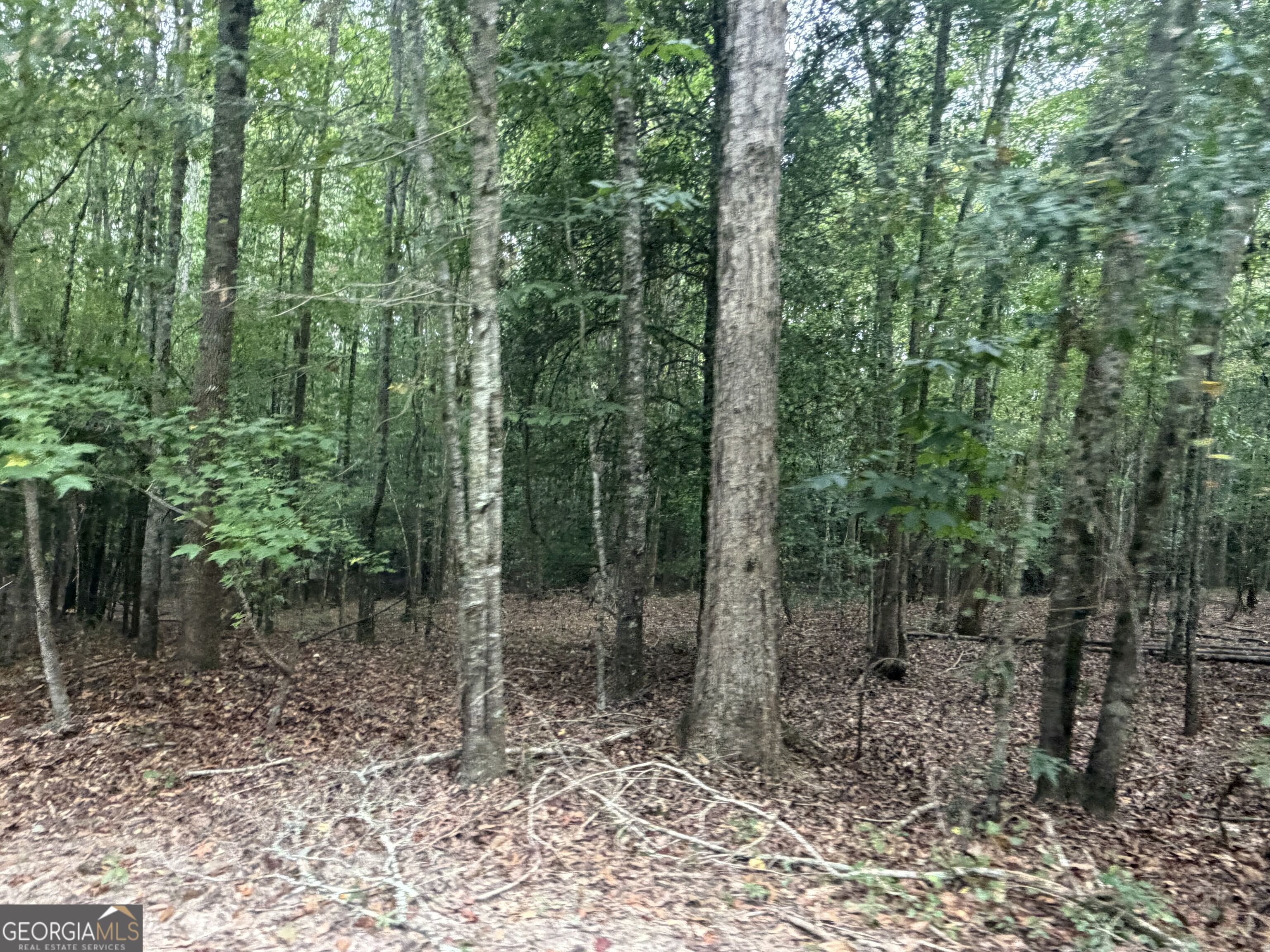 2643 Deepstep Creek Road Property Photo 106