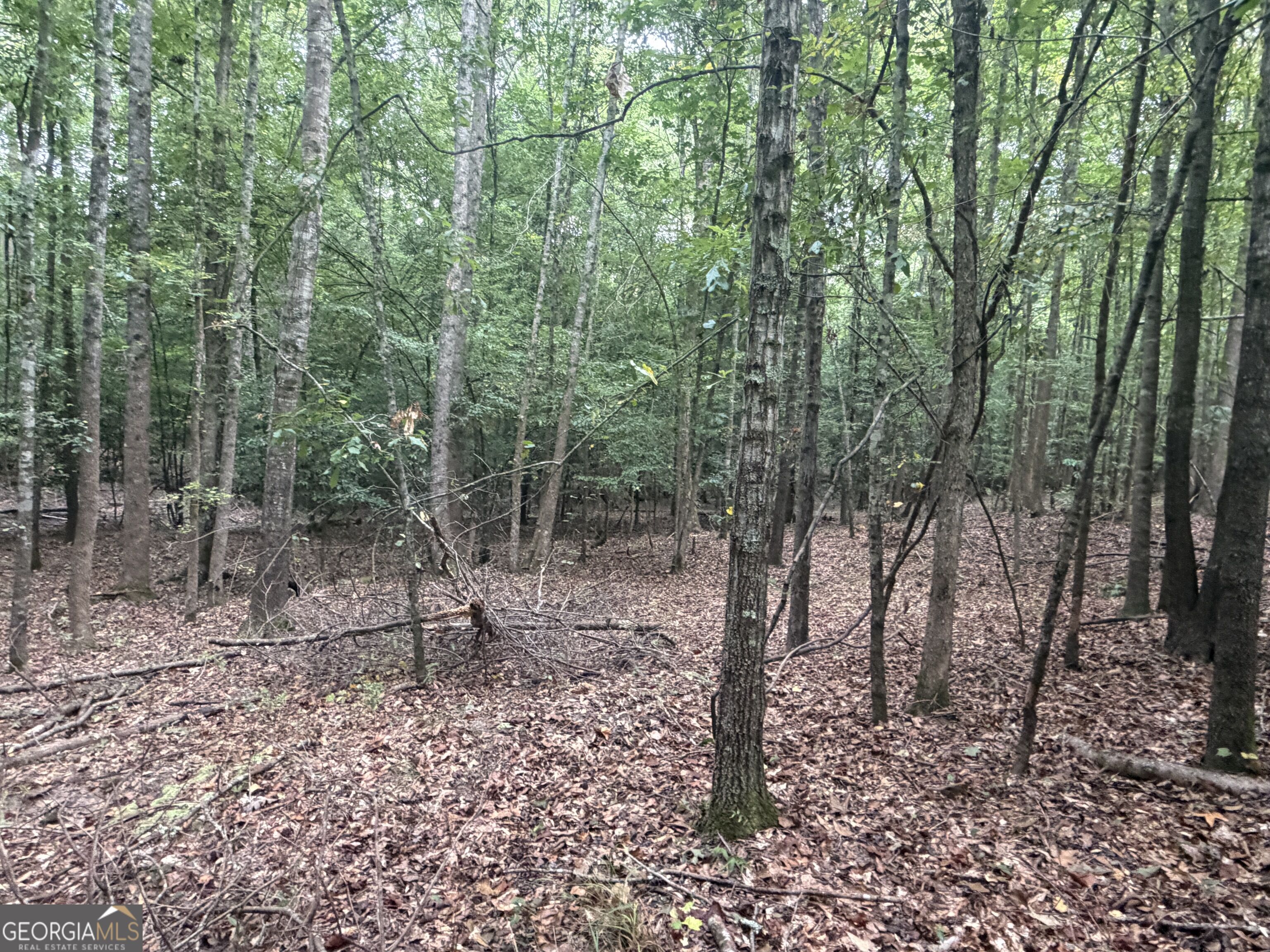 2643 Deepstep Creek Road Property Photo 107