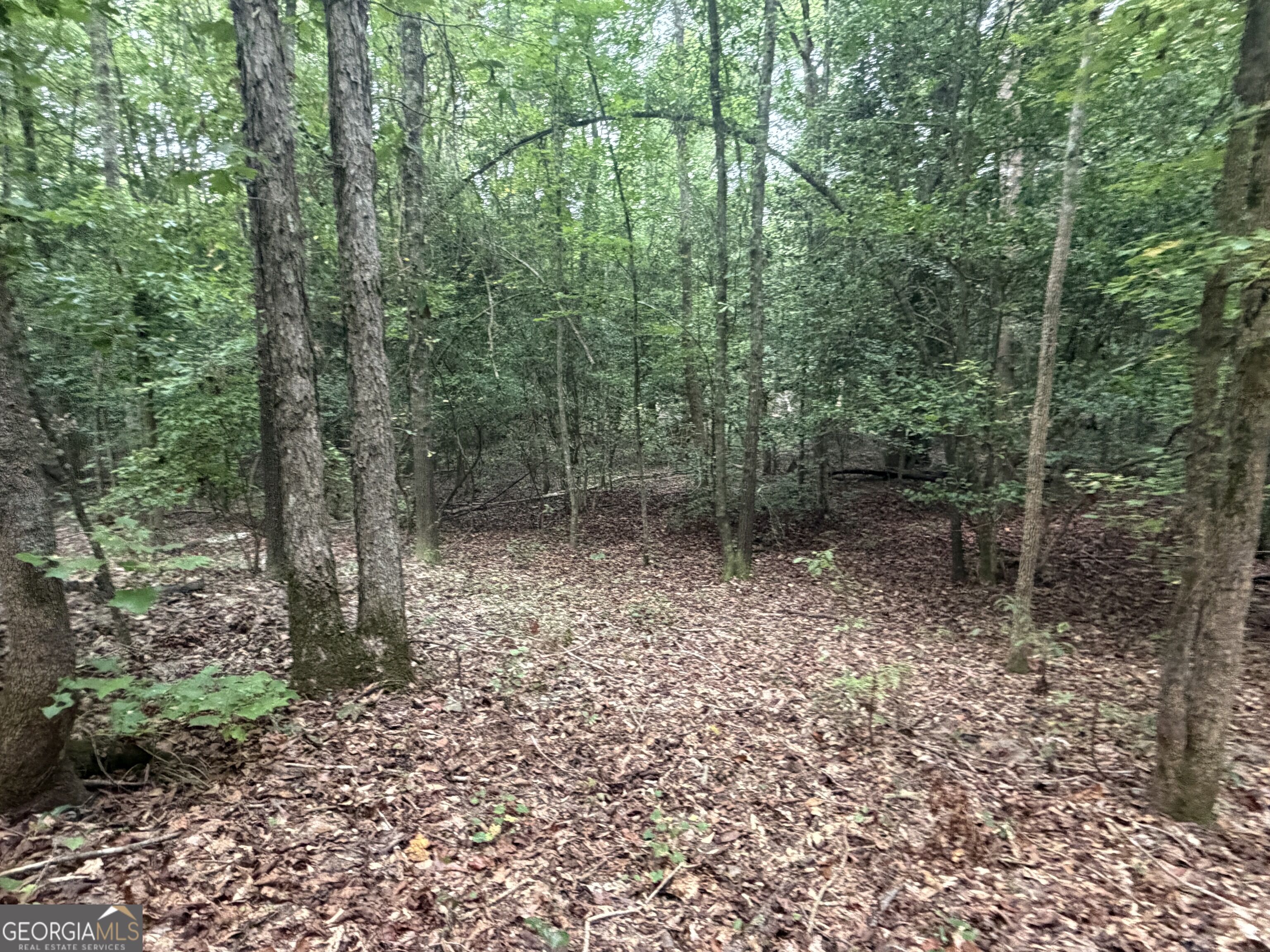 2643 Deepstep Creek Road Property Photo 108