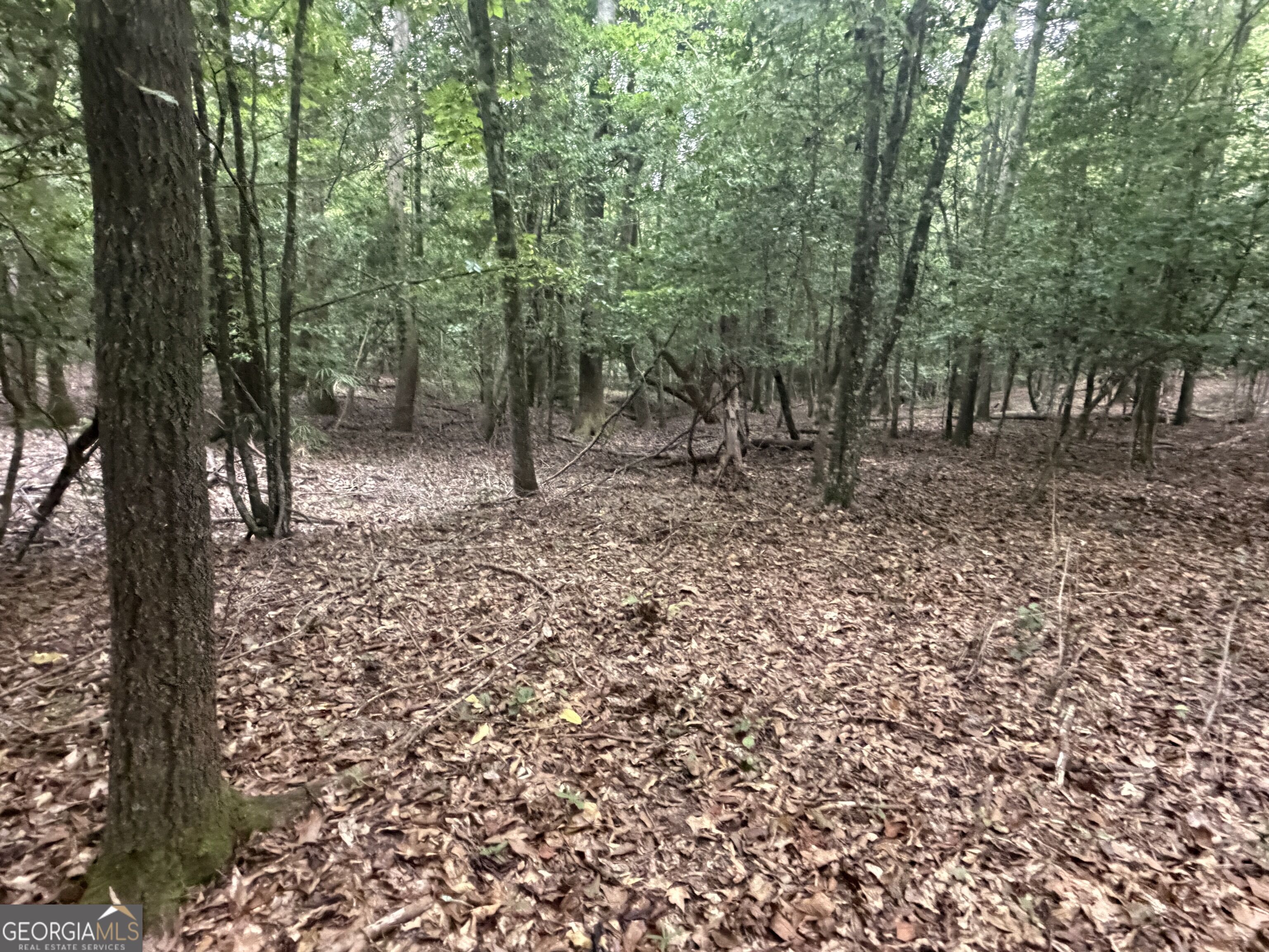 2643 Deepstep Creek Road Property Photo 109