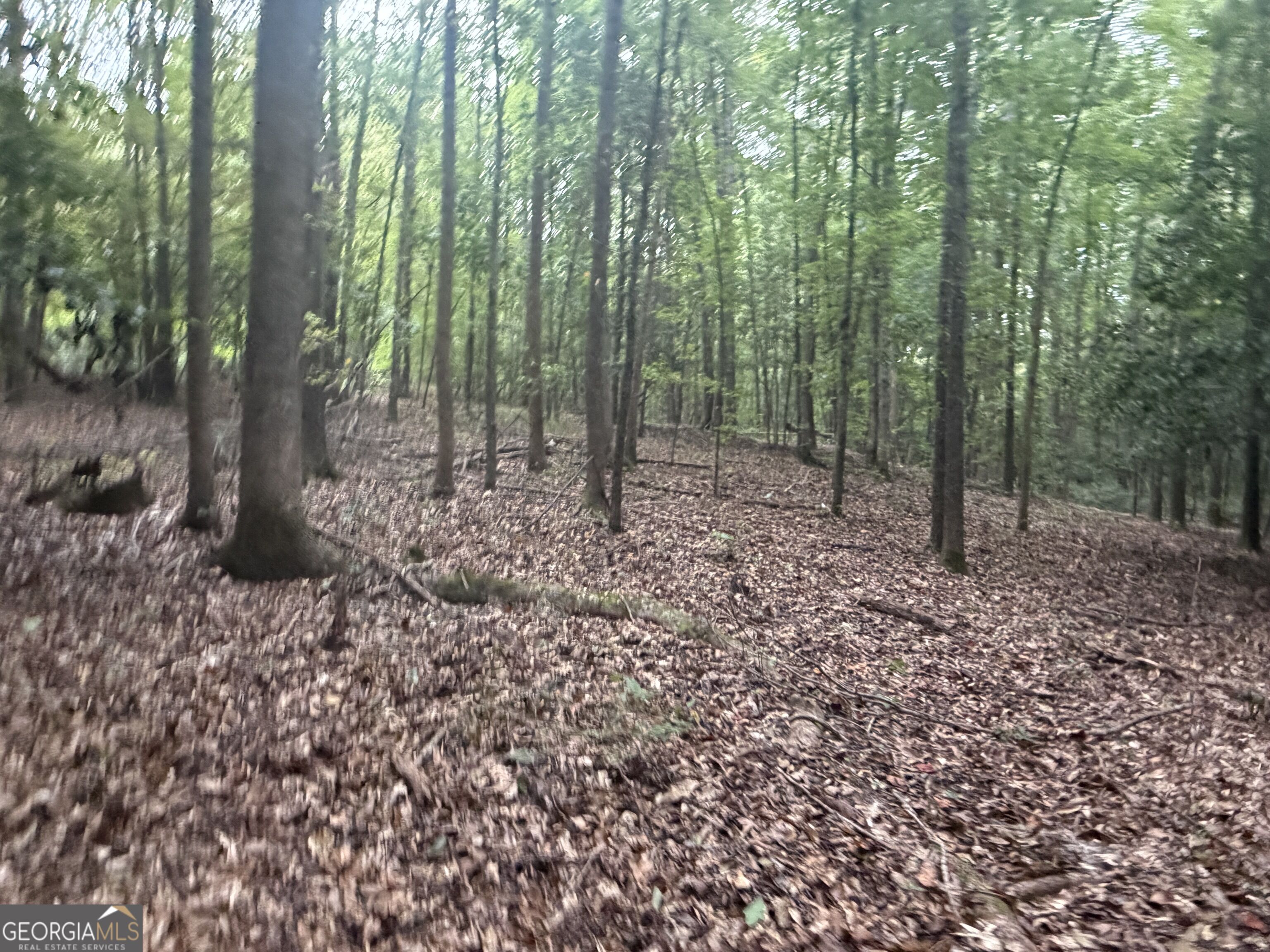 2643 Deepstep Creek Road Property Photo 111