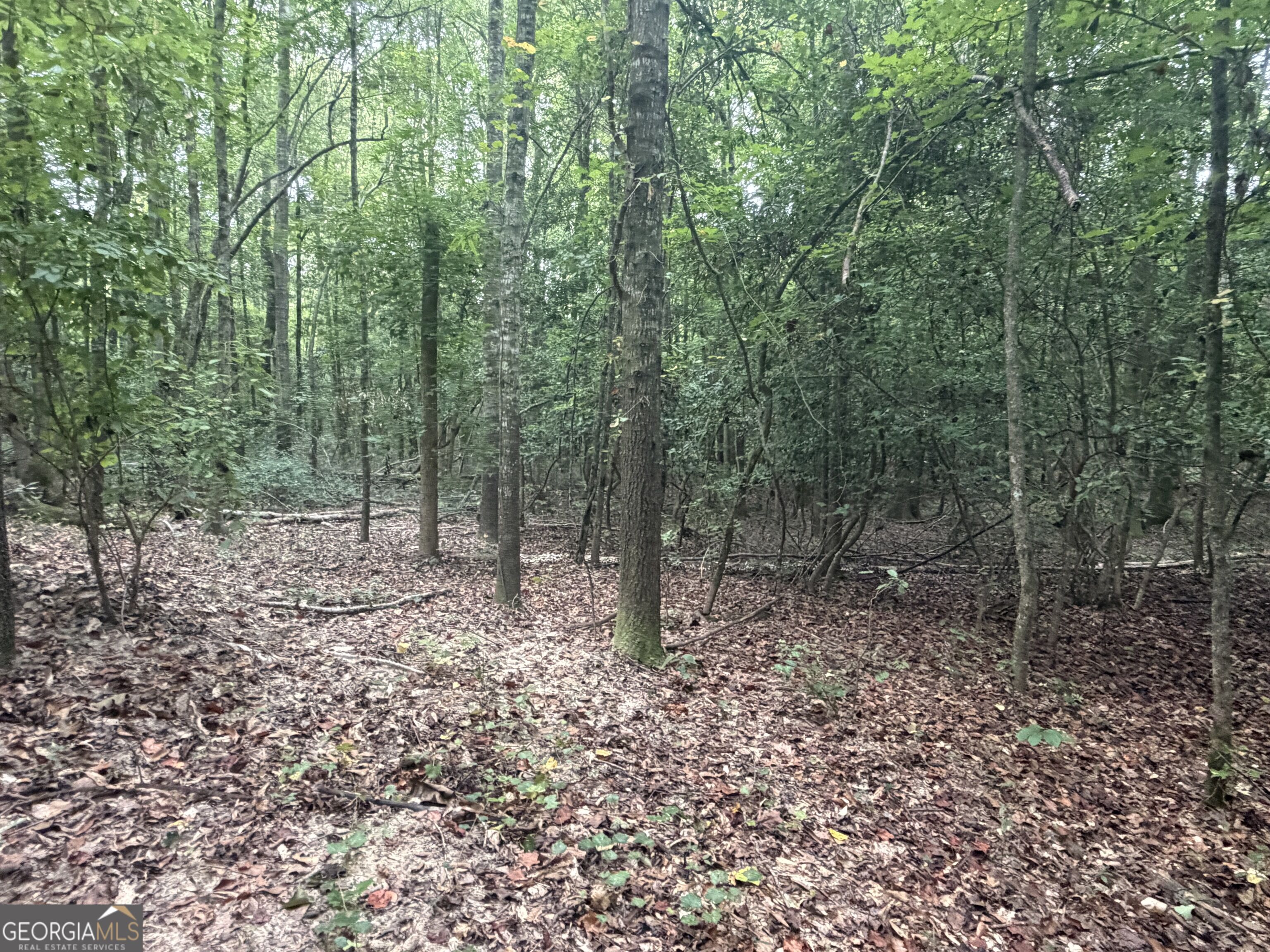 2643 Deepstep Creek Road Property Photo 113