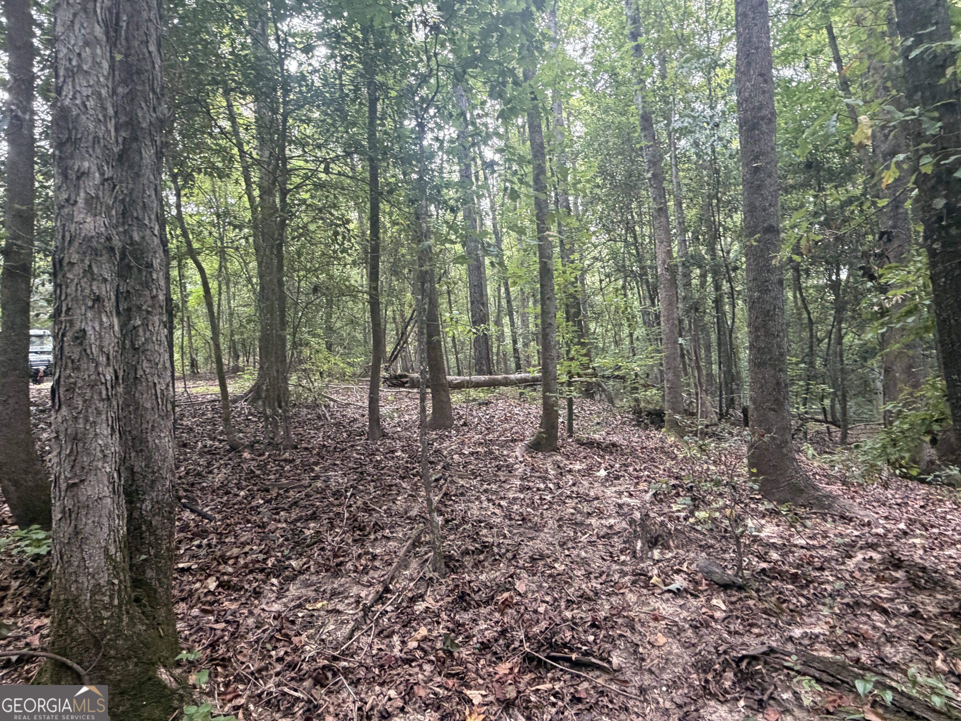 2643 Deepstep Creek Road Property Photo 114