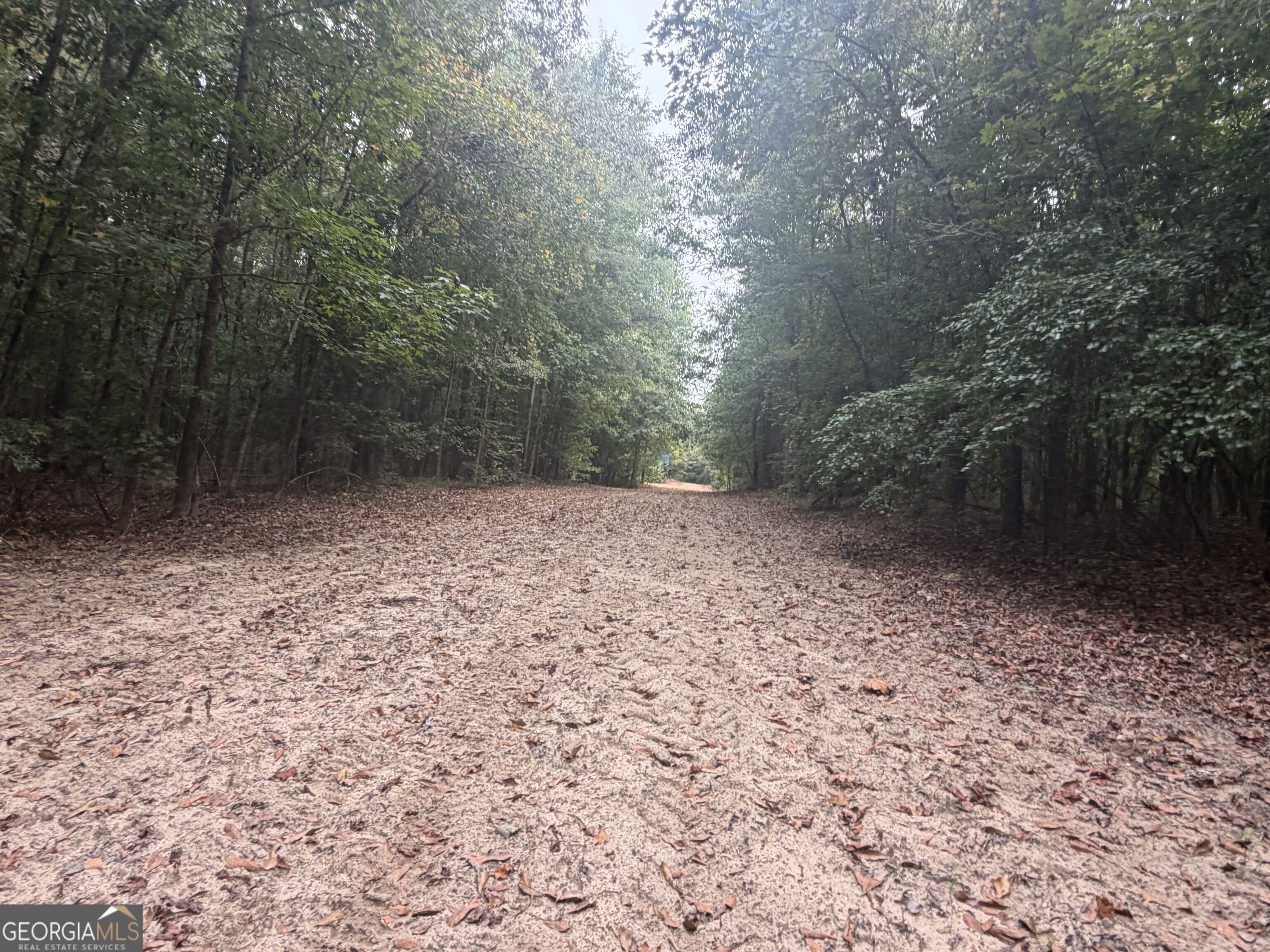 2643 Deepstep Creek Road Property Photo 115
