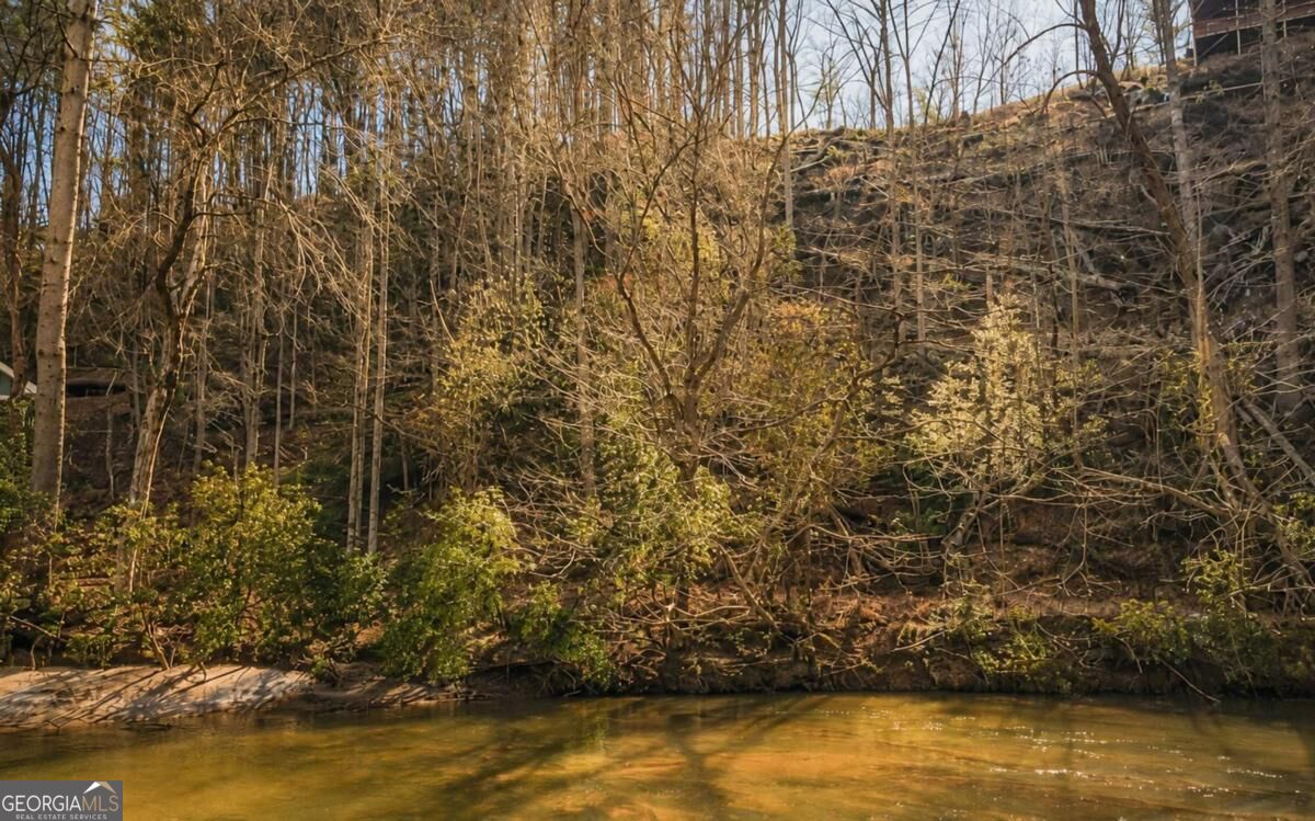 0 River Flow Drive Property Photo 4