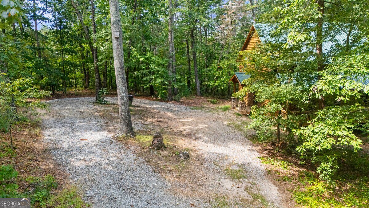 63 Collinsbrook Trail Property Photo 43